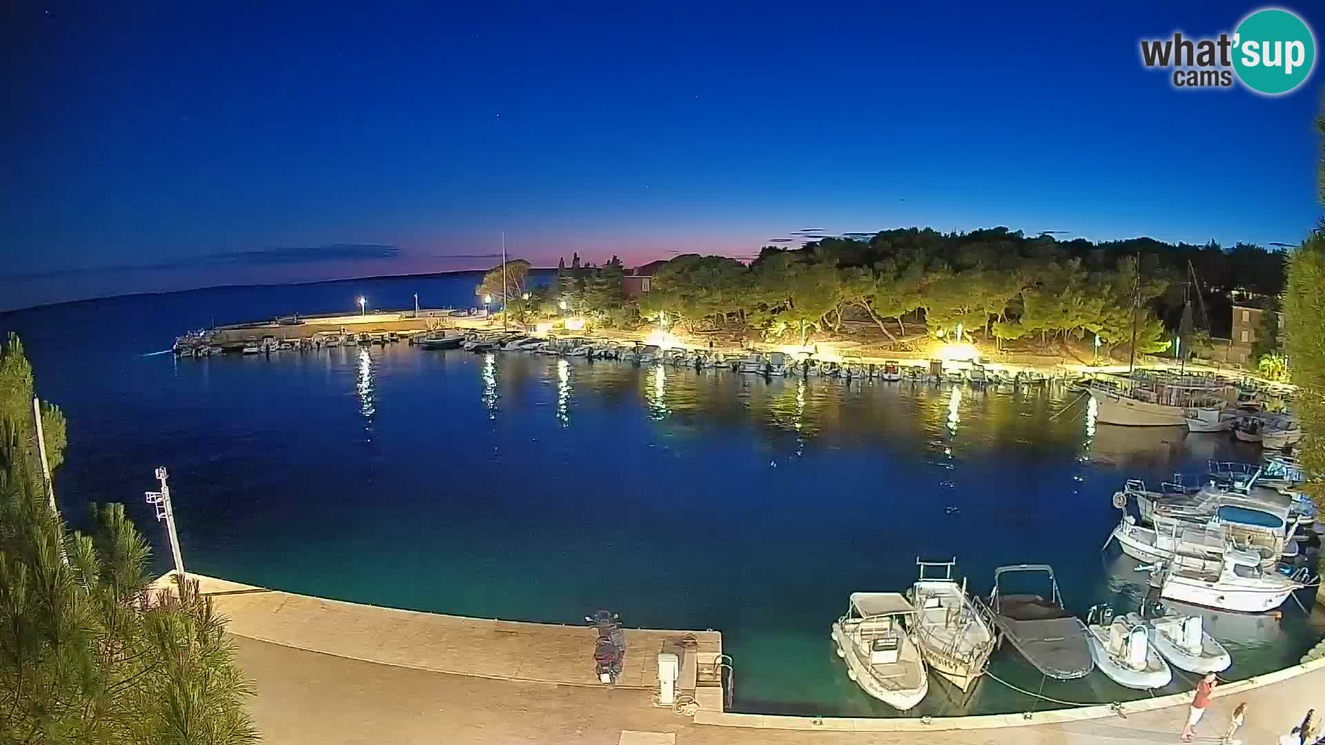 Mandre – marina