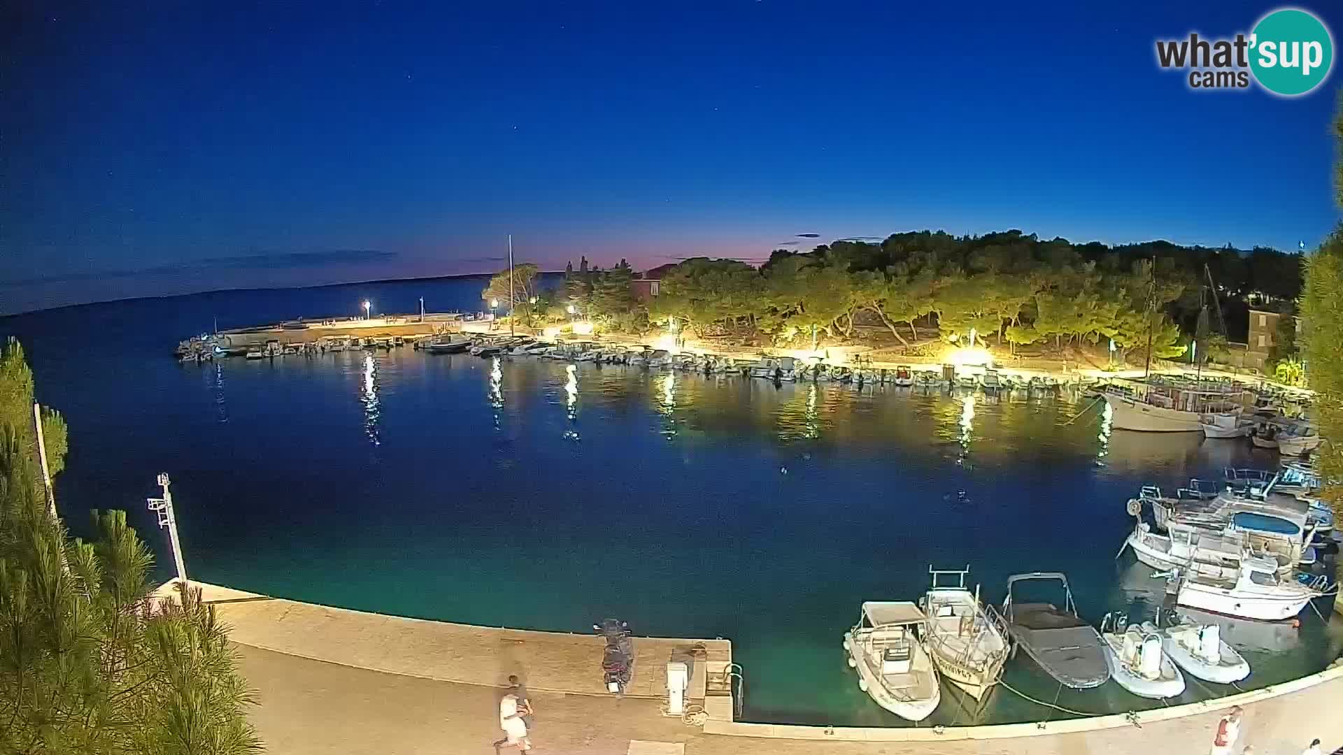 Mandre – marina