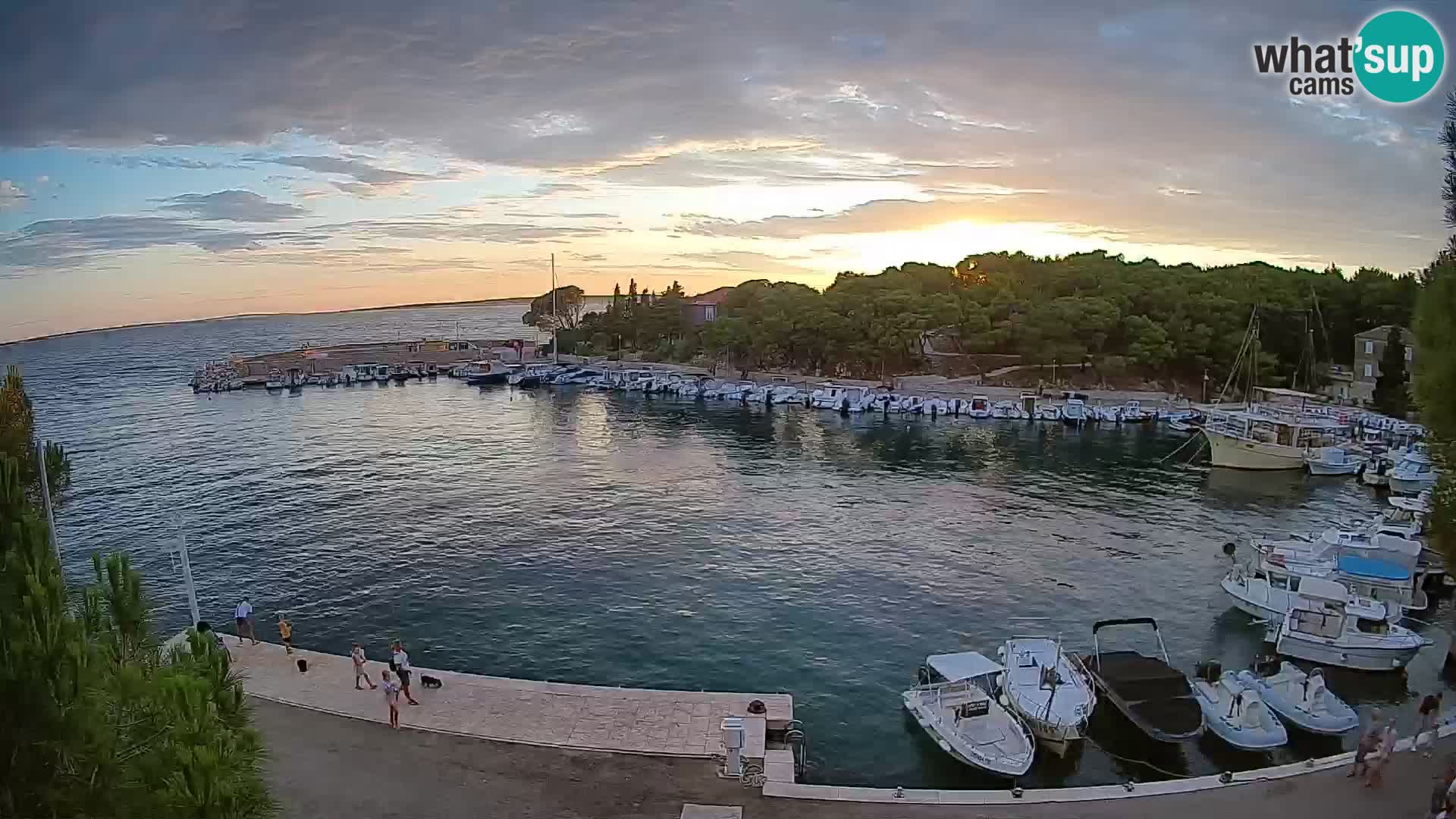 Mandre – marina