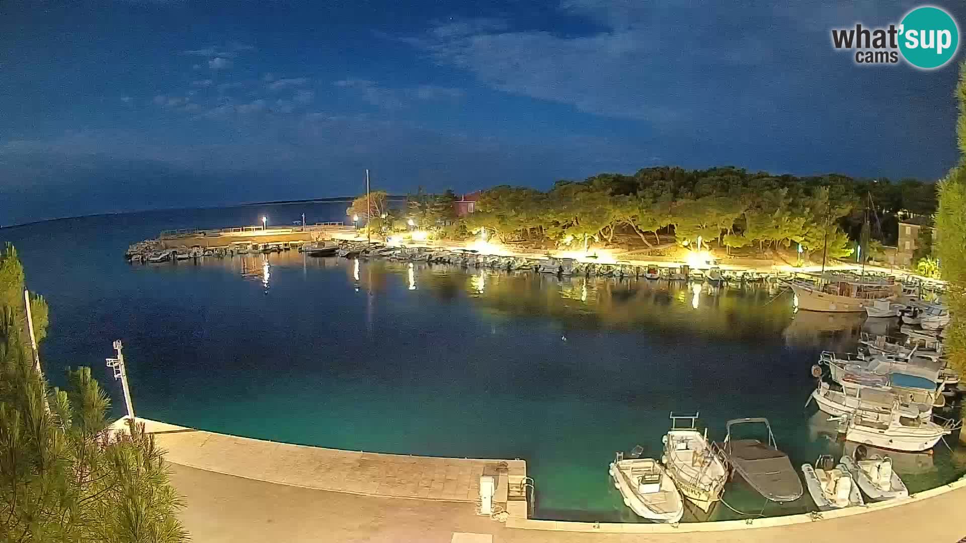 Mandre – marina