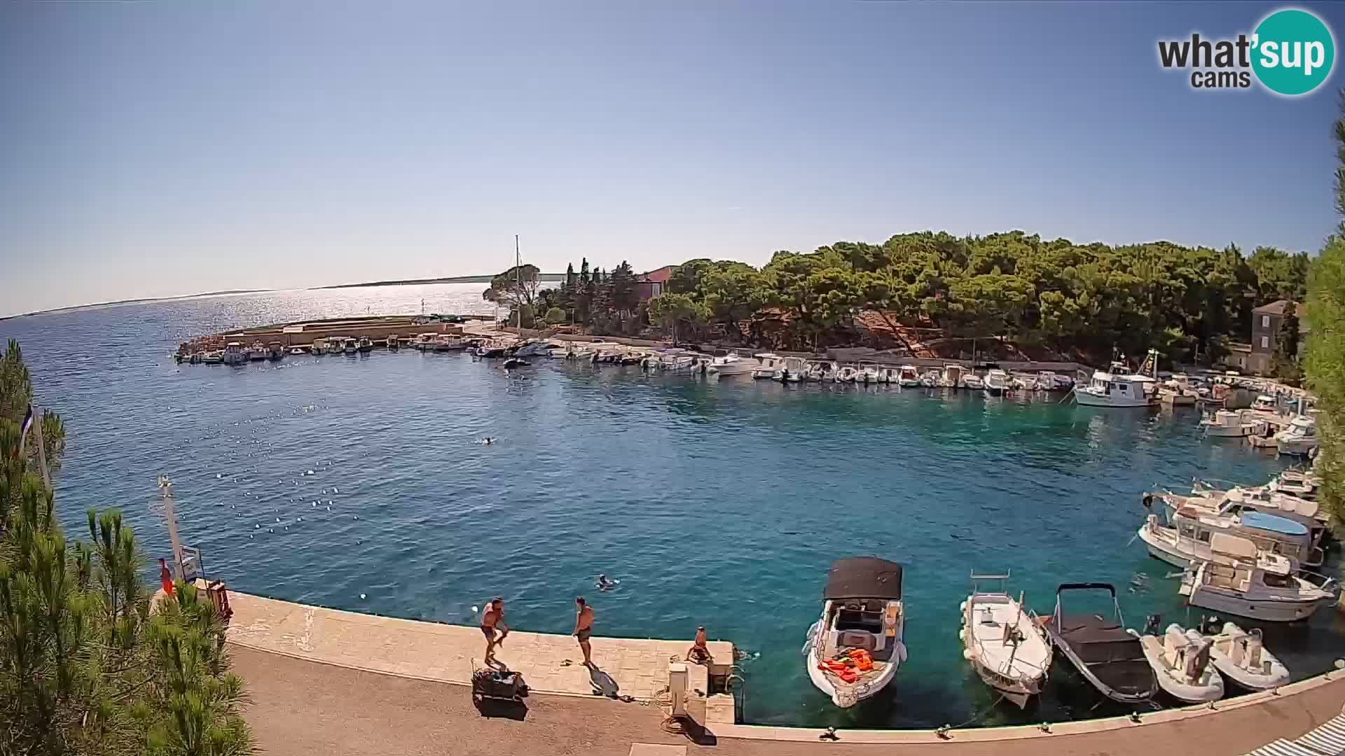 Mandre – marina
