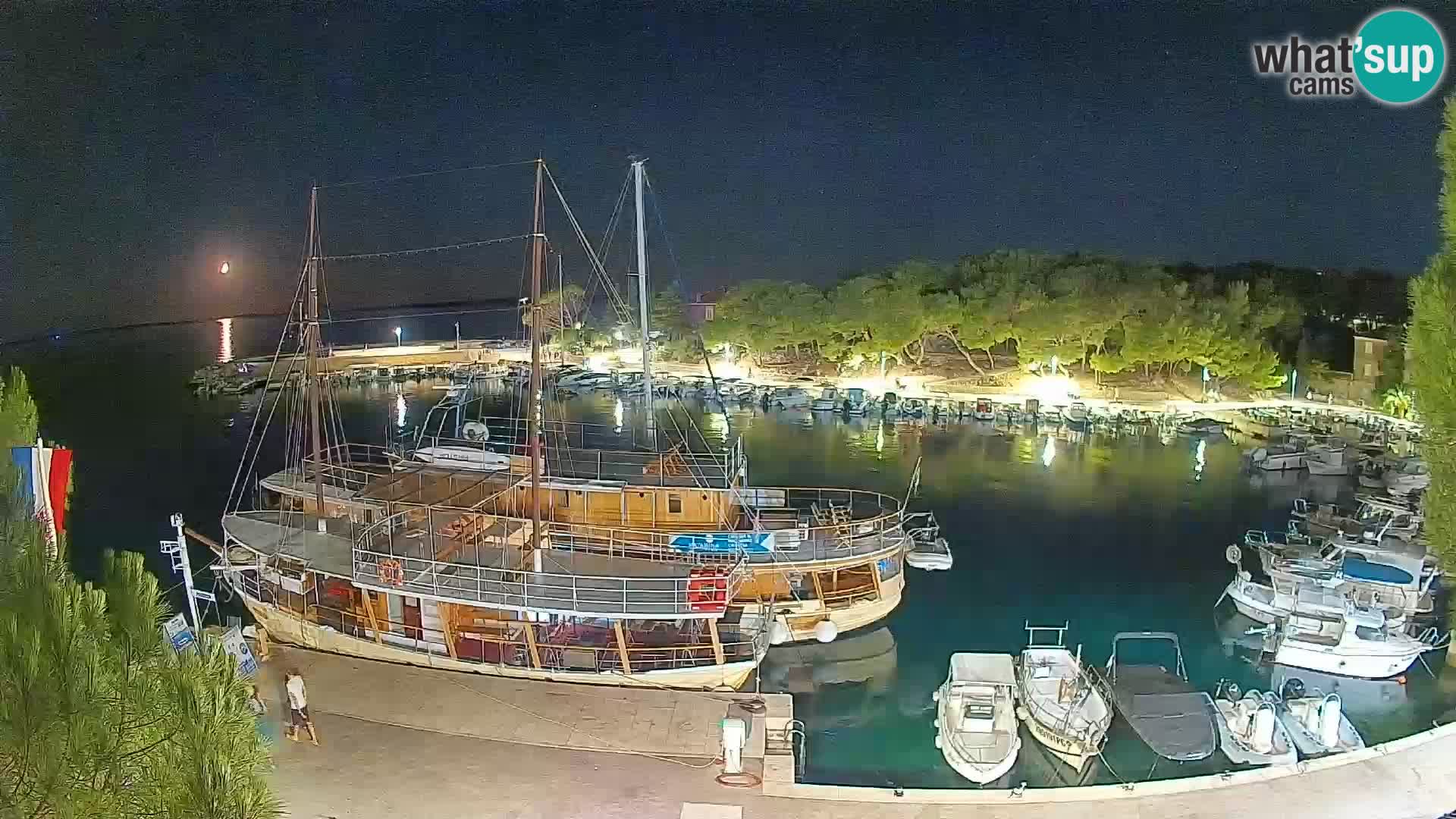 Mandre – marina