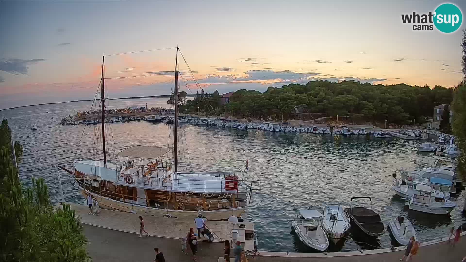 Mandre – marina