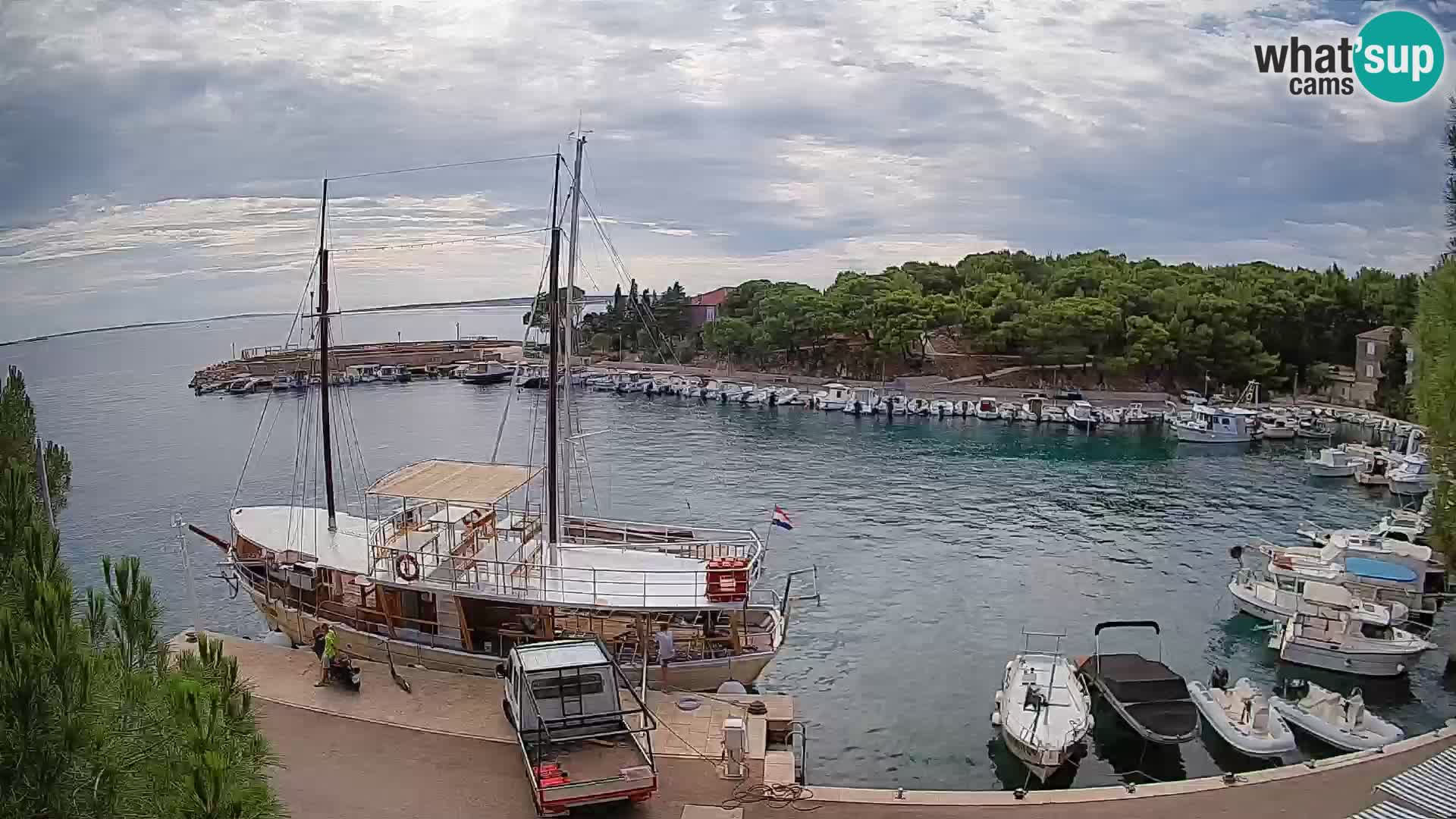 Mandre – marina