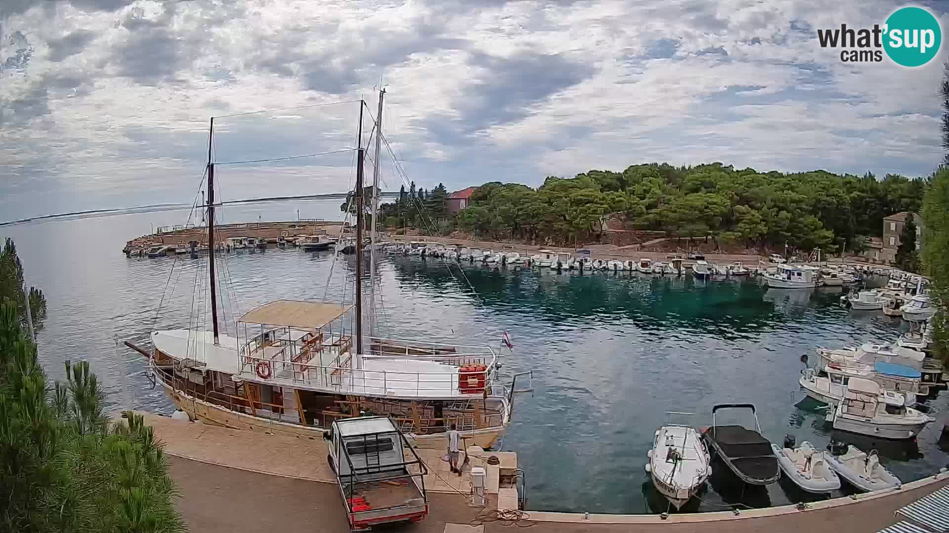 Mandre – marina