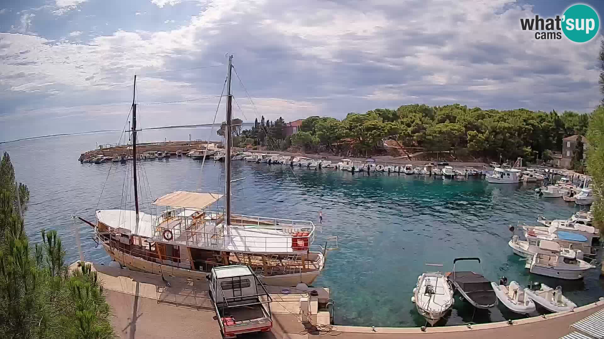 Mandre – marina
