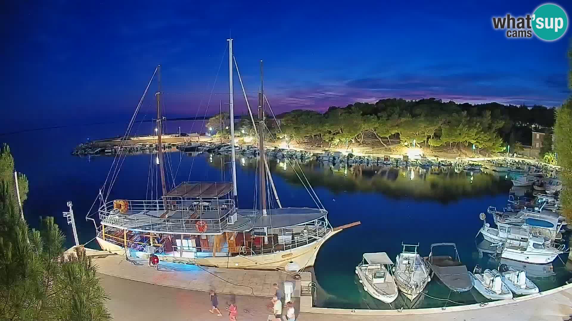 Mandre – marina