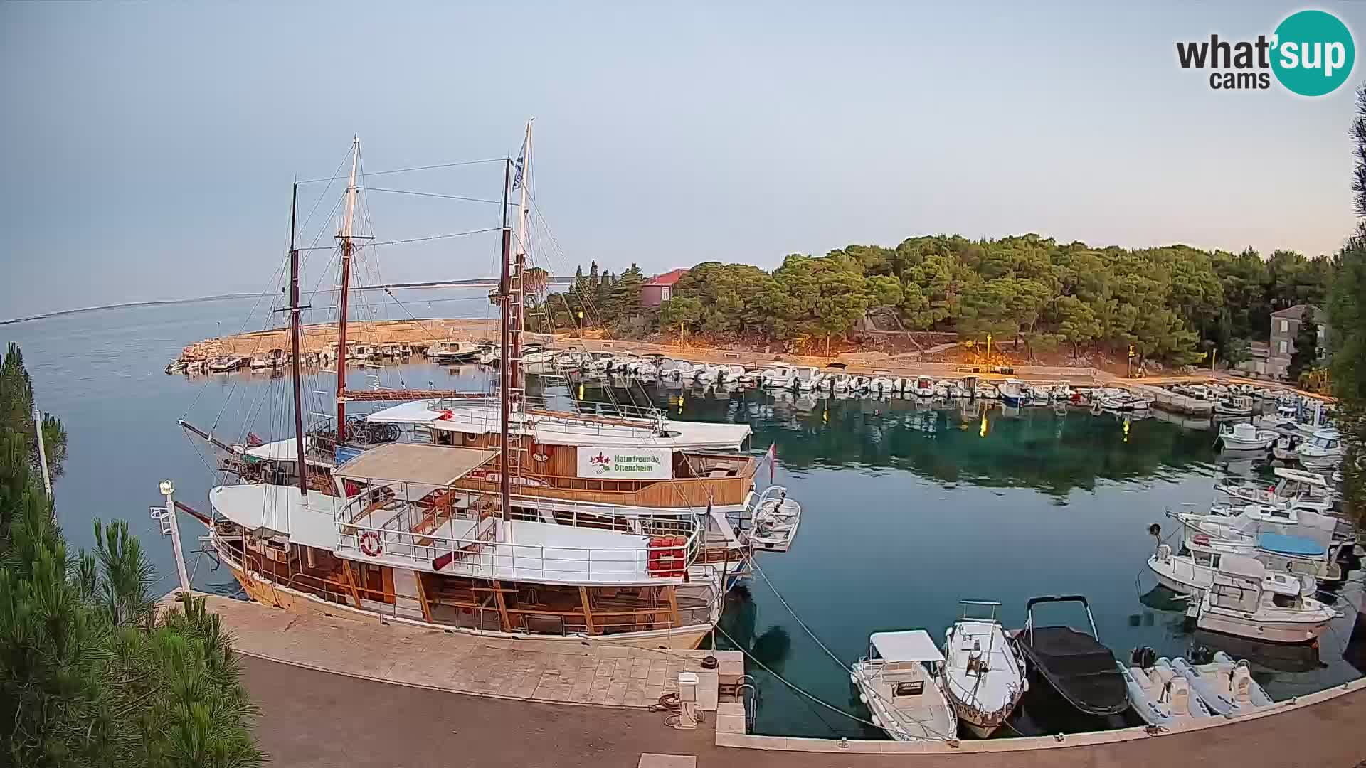 Mandre – marina