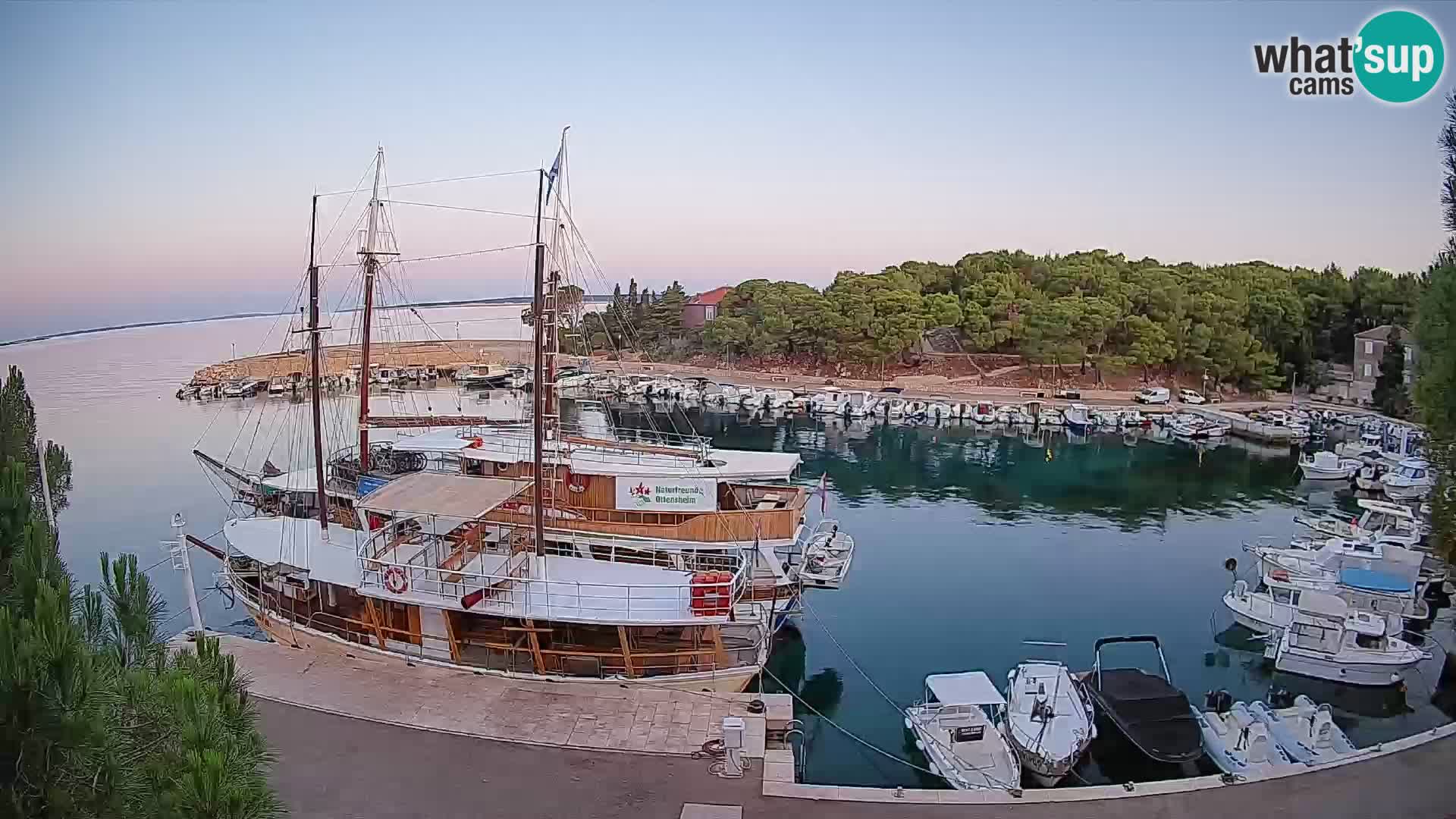 Mandre – marina