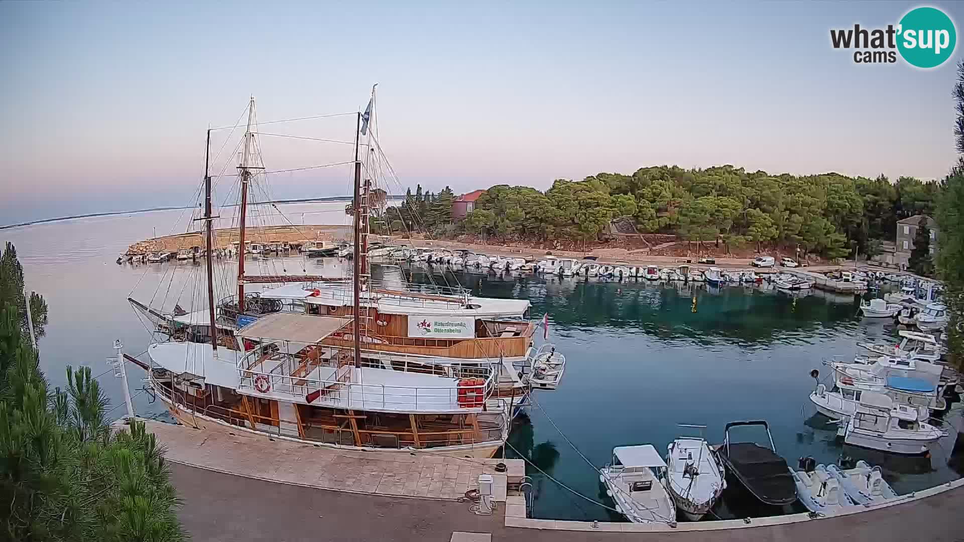 Mandre – marina