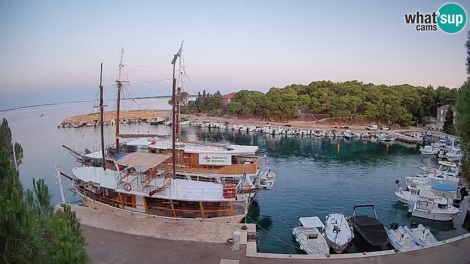 Mandre – marina