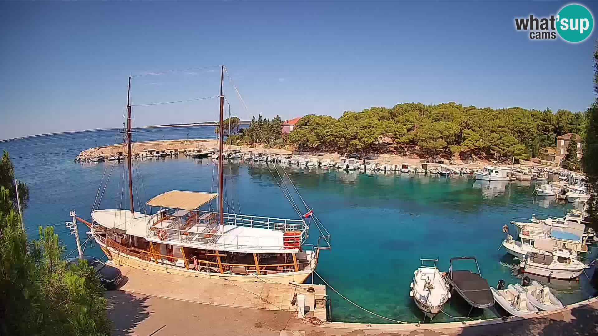 Mandre – marina
