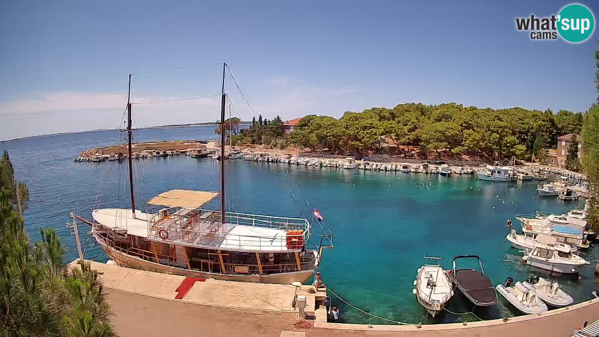 Mandre – marina