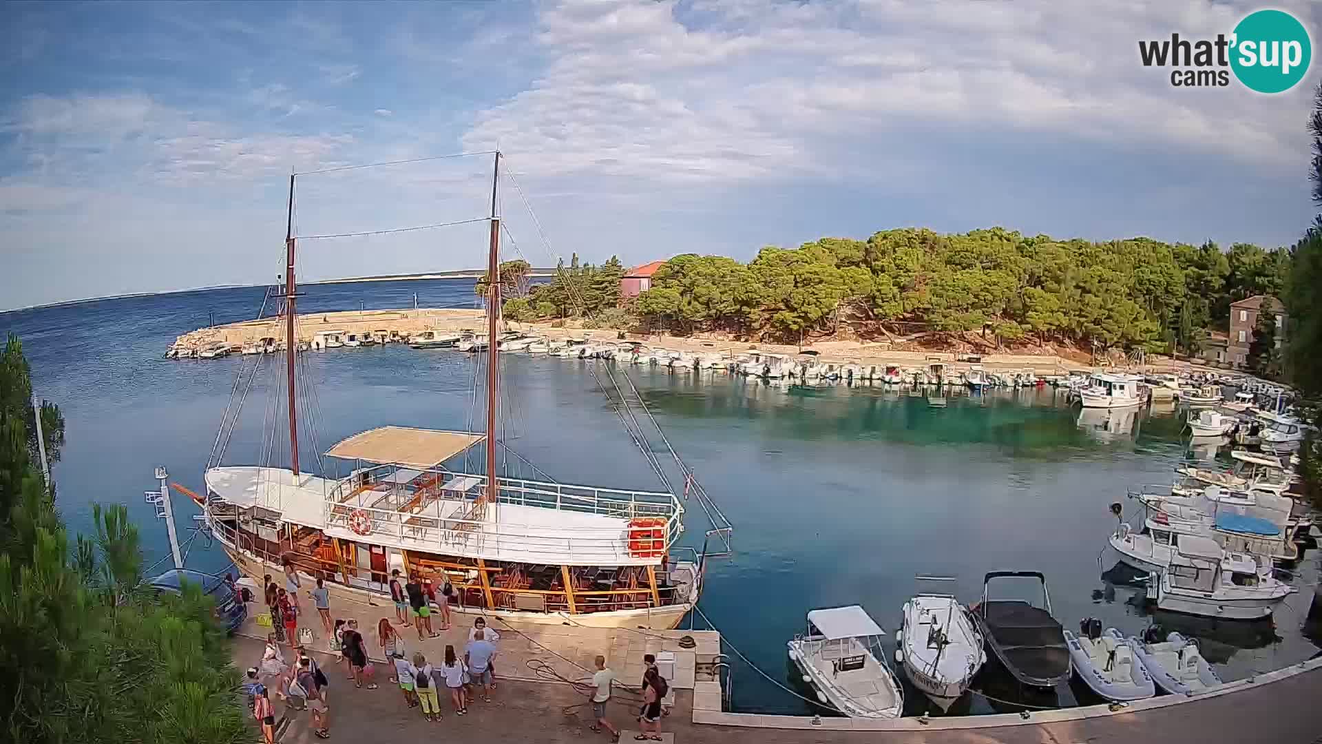 Mandre – marina