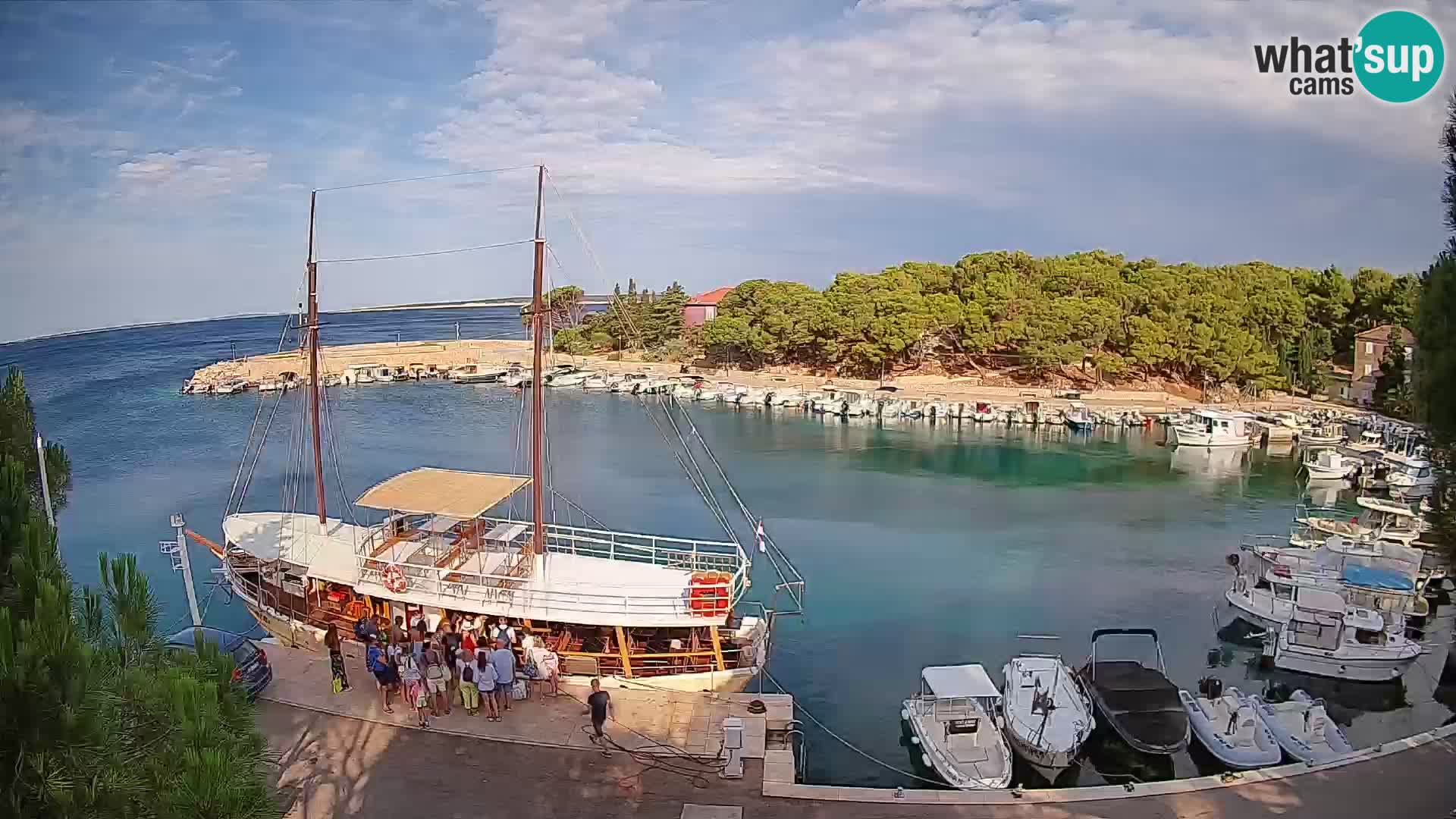Mandre – marina