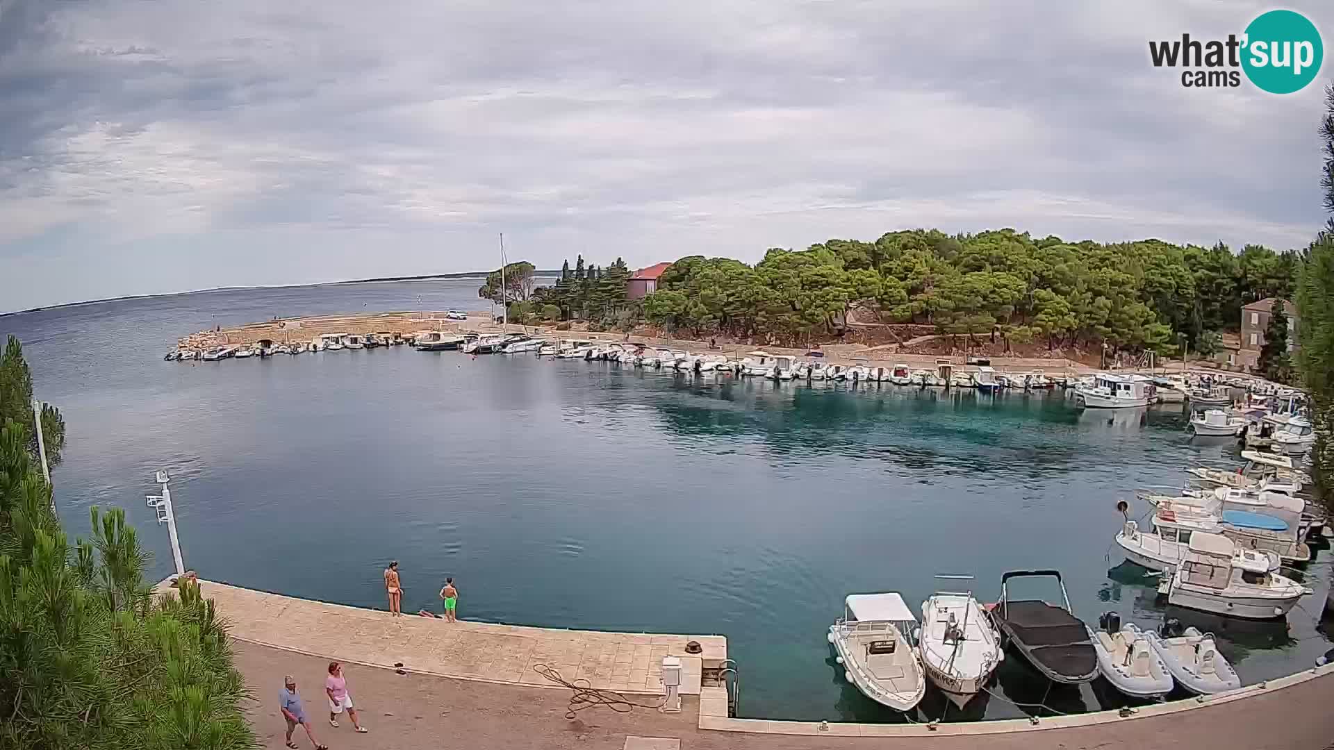 Mandre – marina