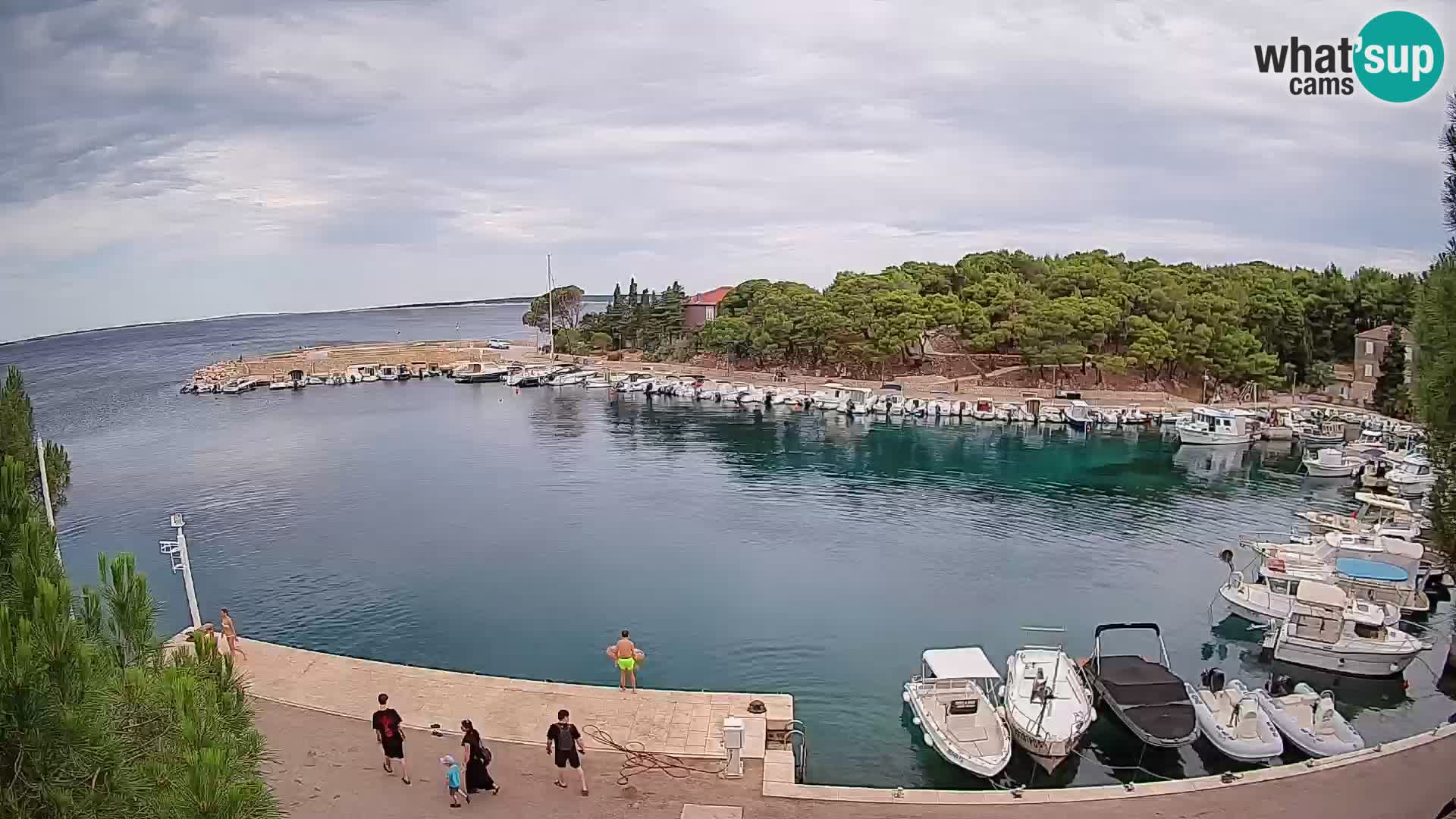 Mandre – marina