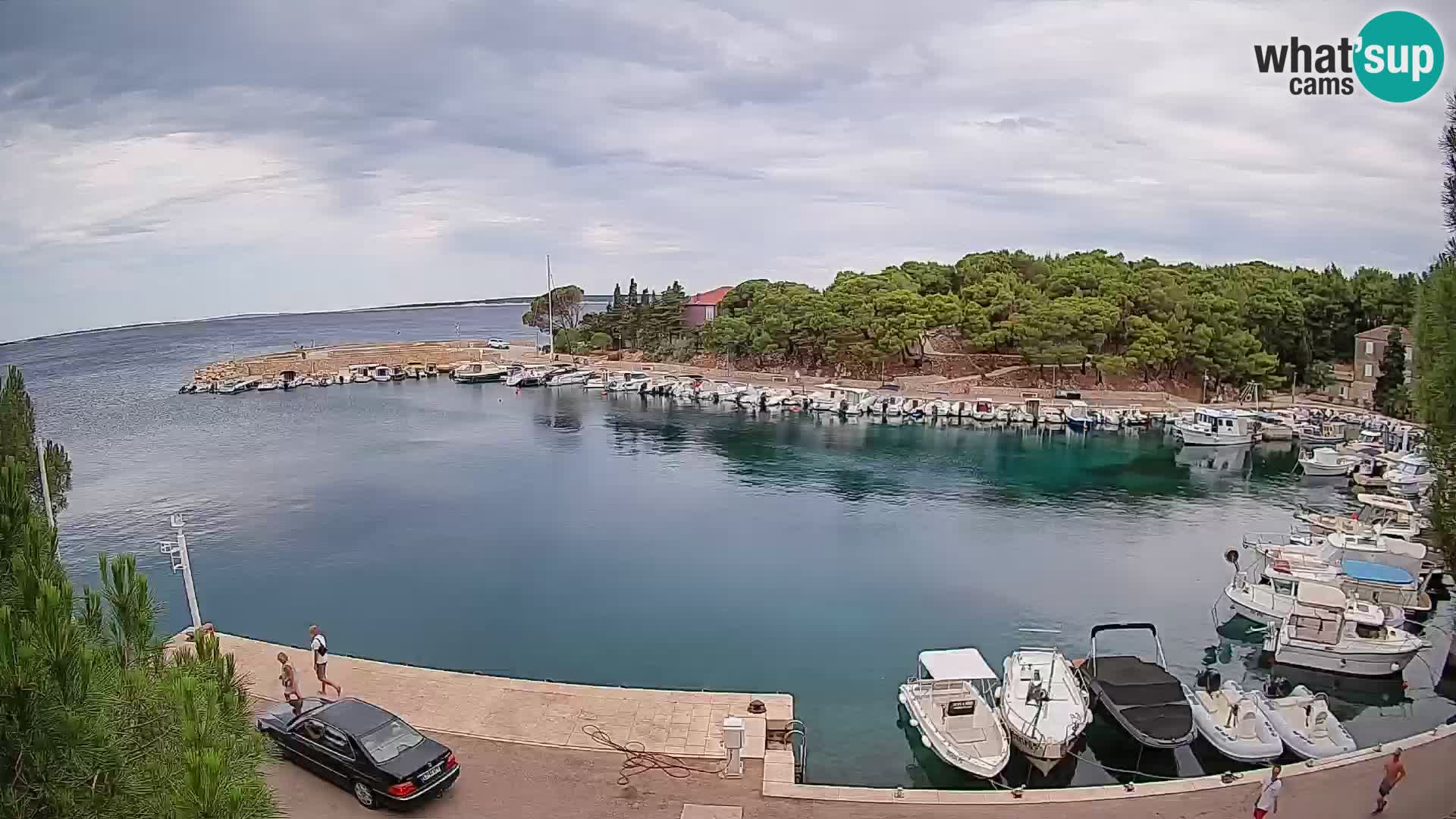 Mandre – marina