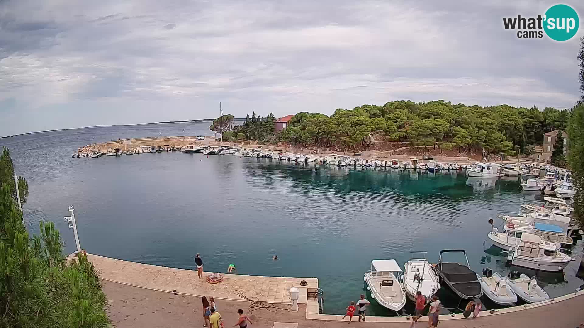 Mandre – marina