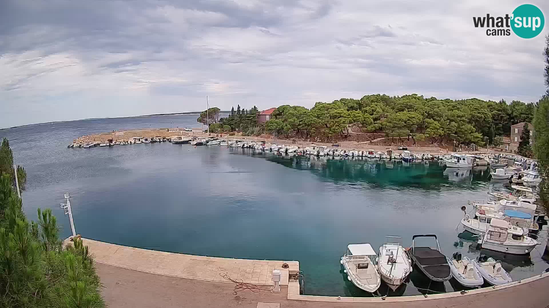 Mandre – marina