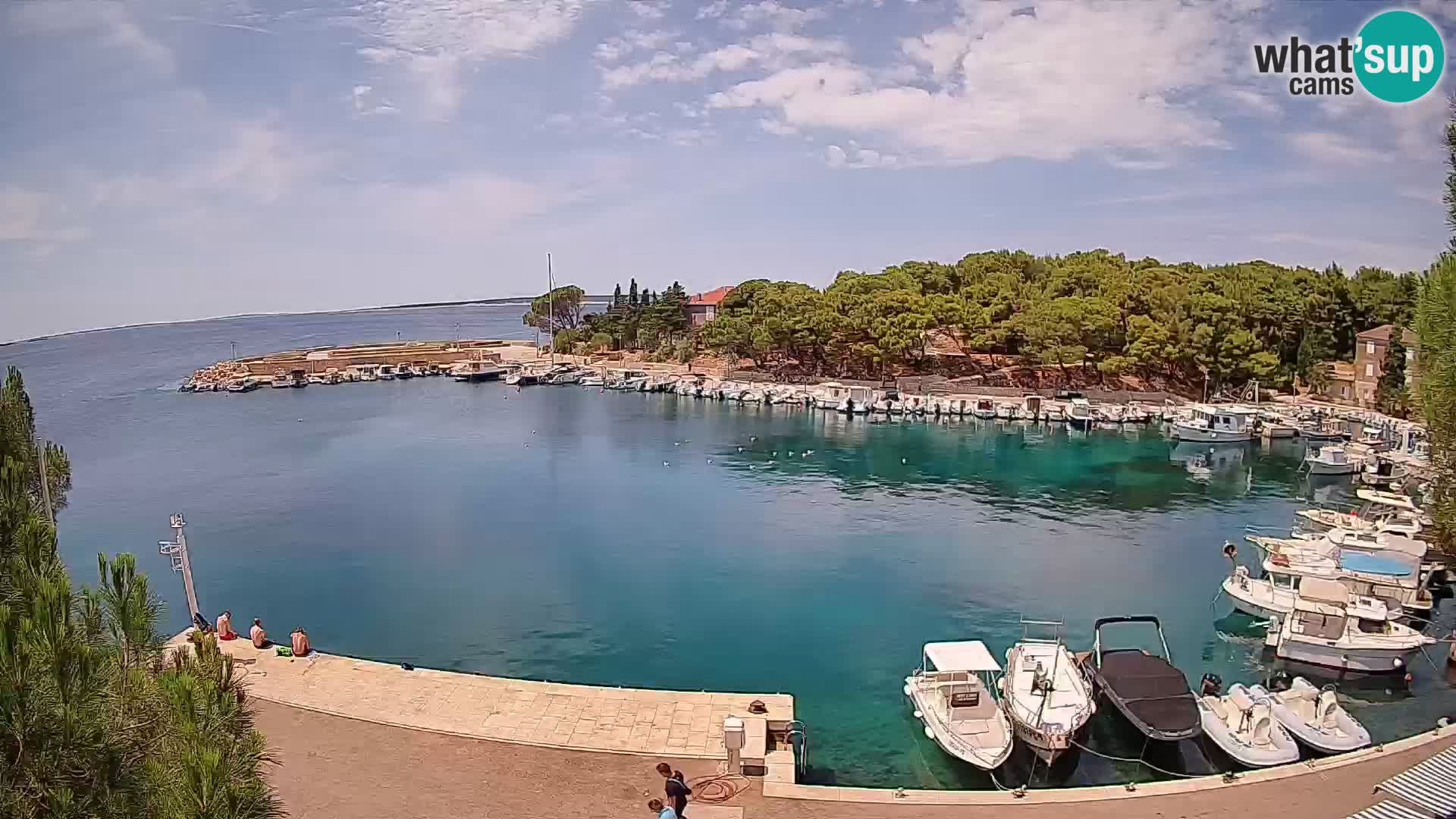 Mandre – marina