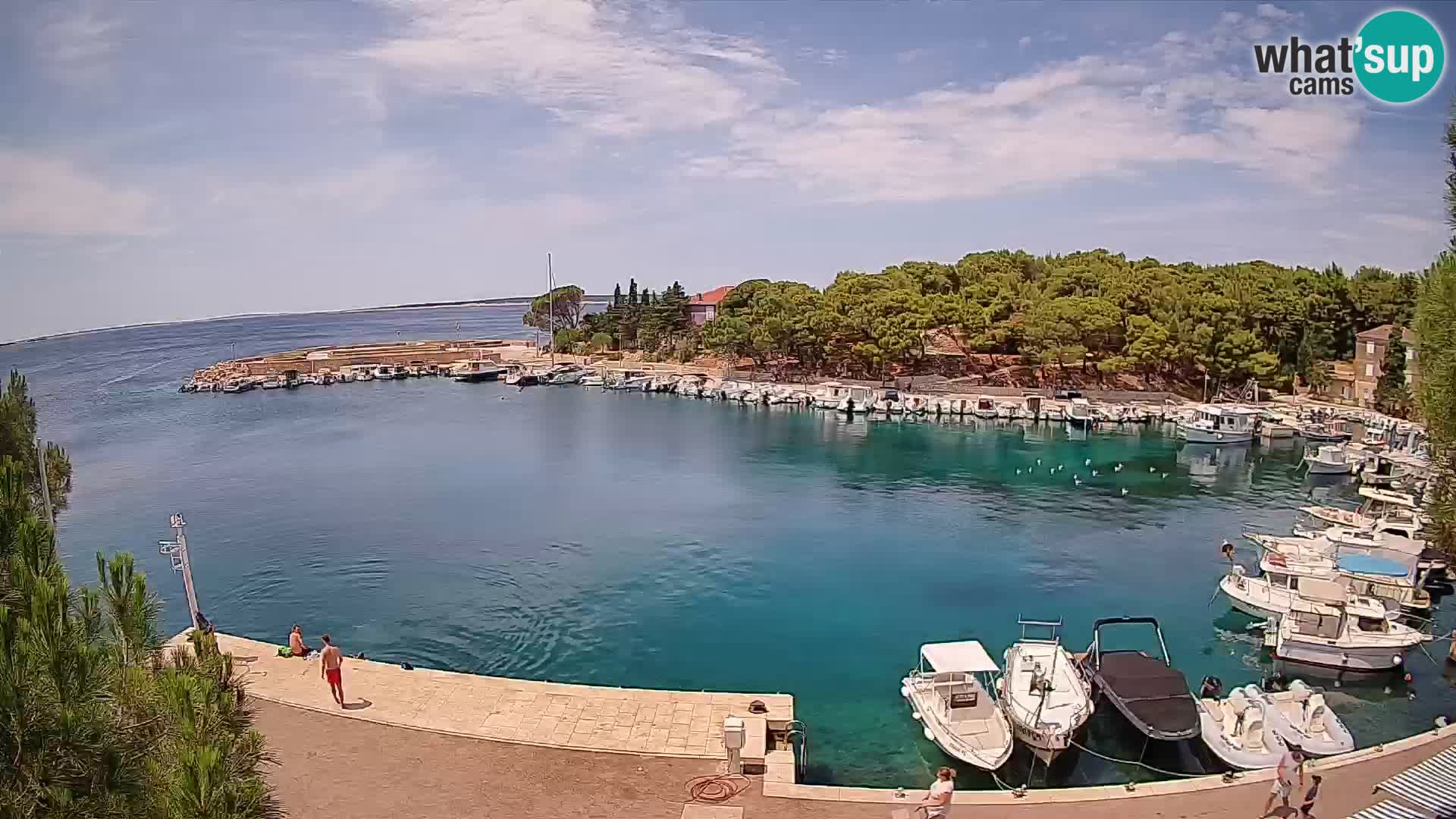 Mandre – marina