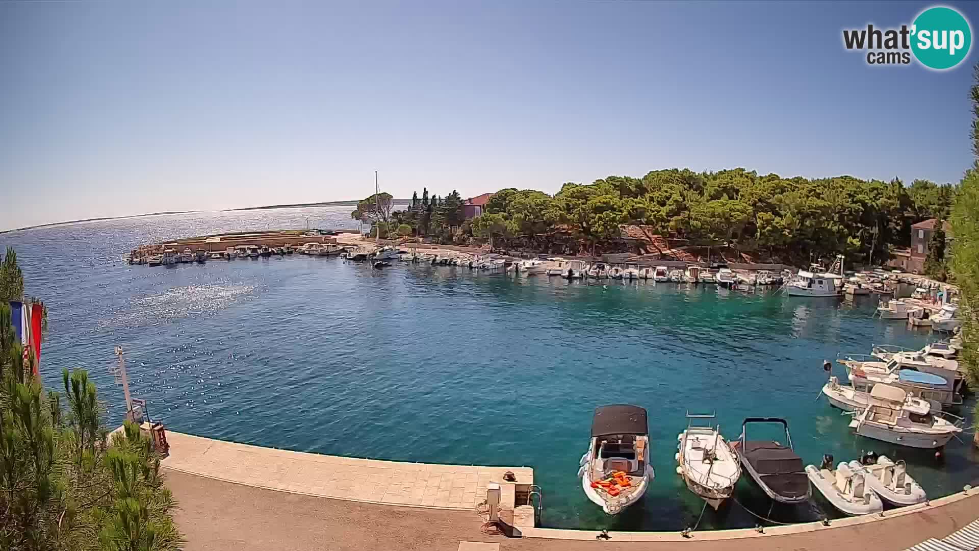 Mandre – marina