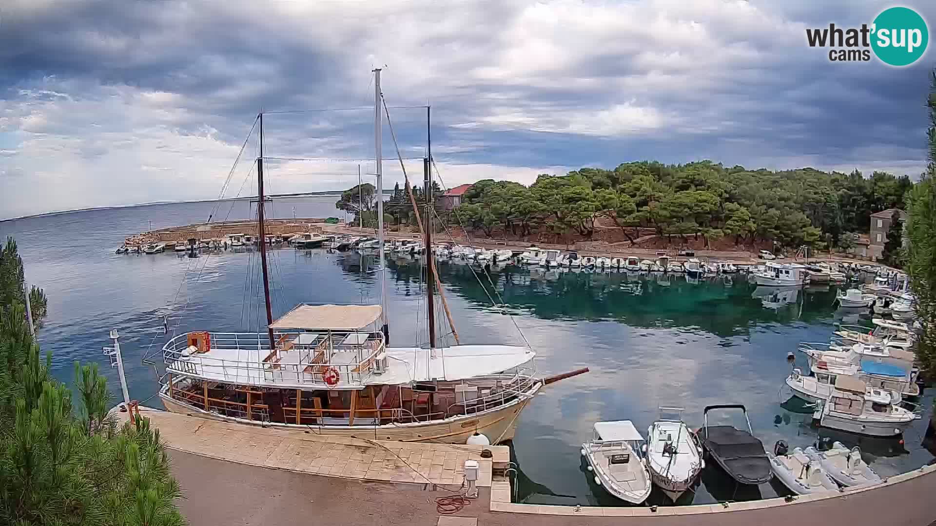Mandre – marina