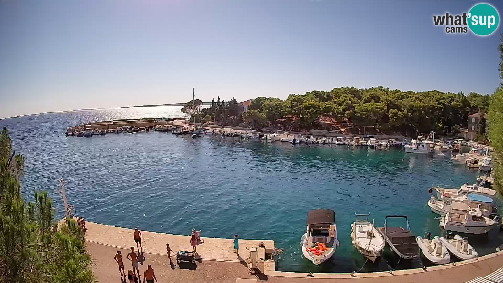 Mandre – marina