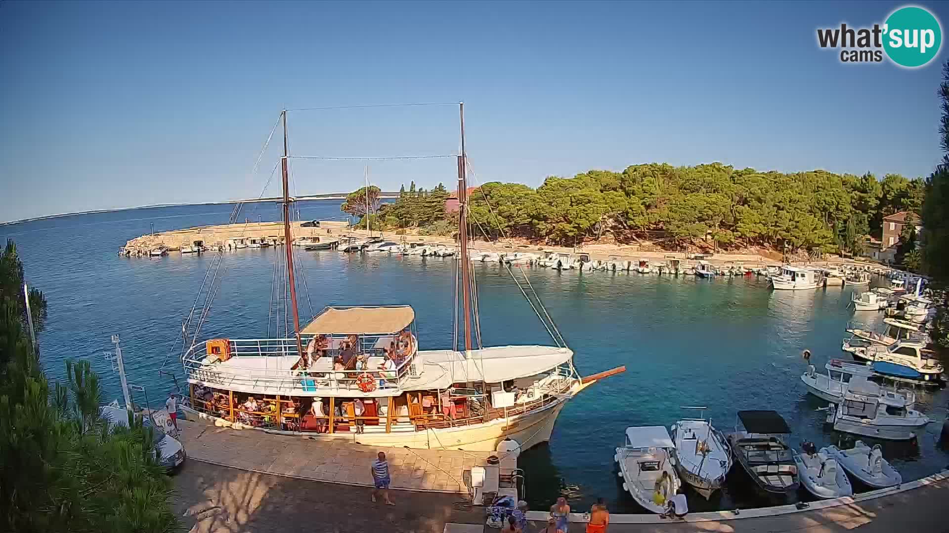 Mandre – marina