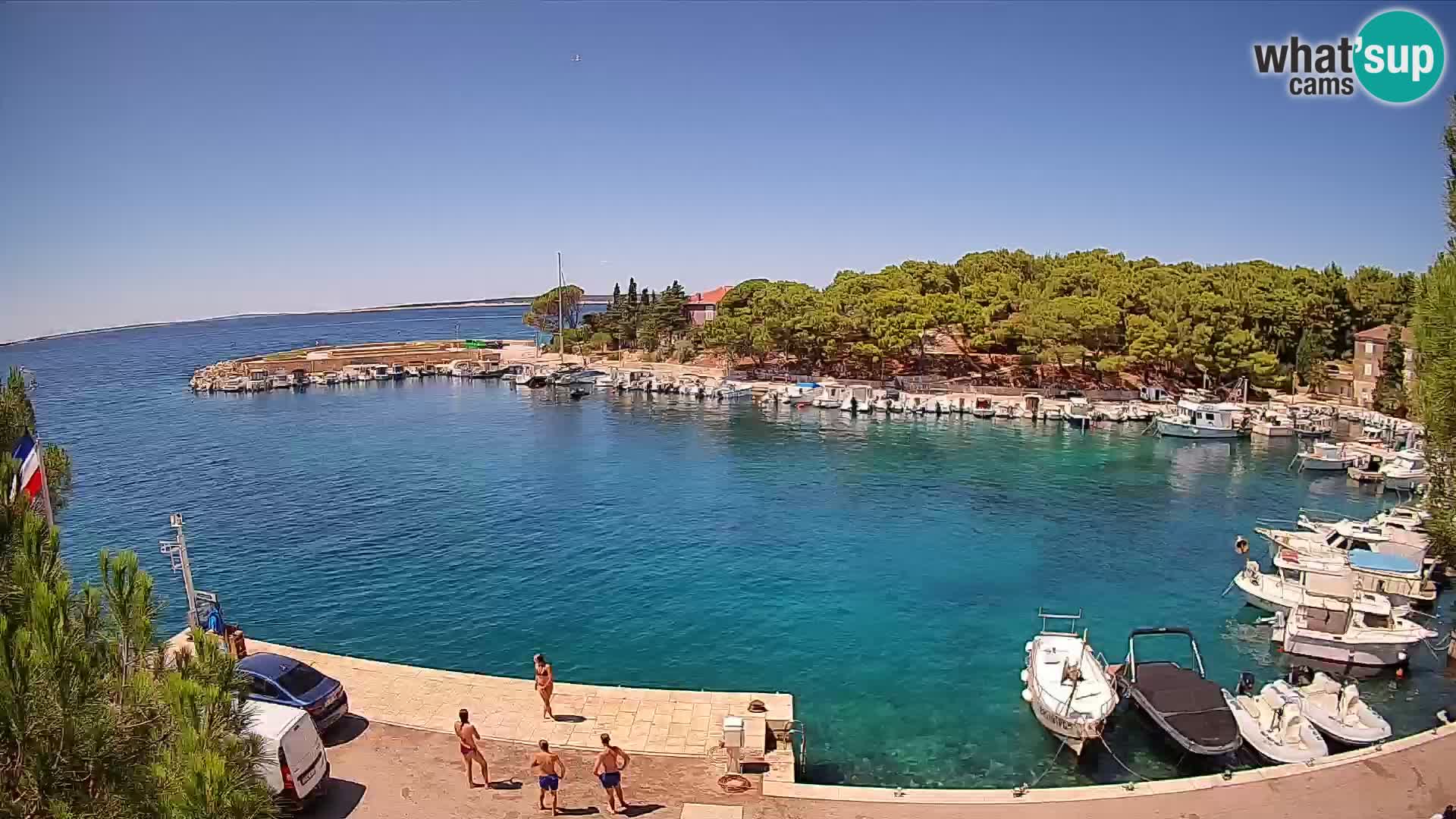 Mandre – marina