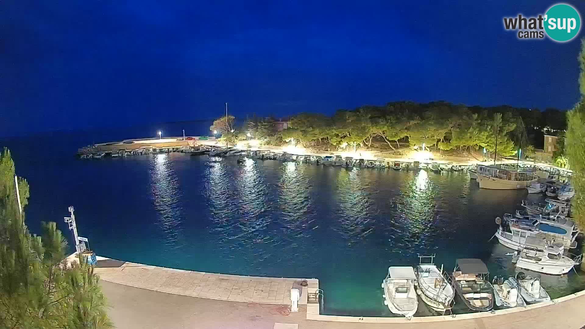 Mandre – marina