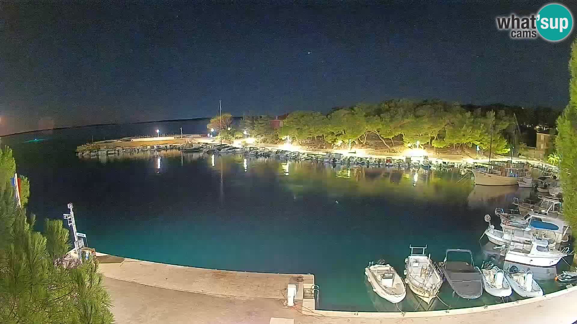 Mandre – marina