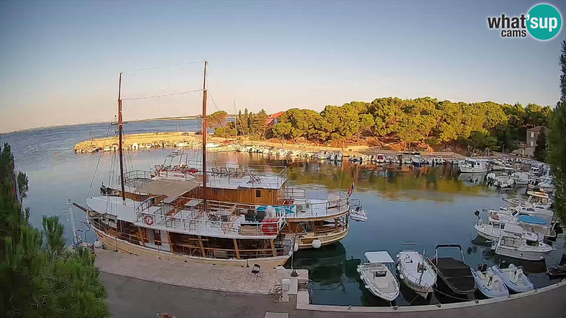 Mandre – marina