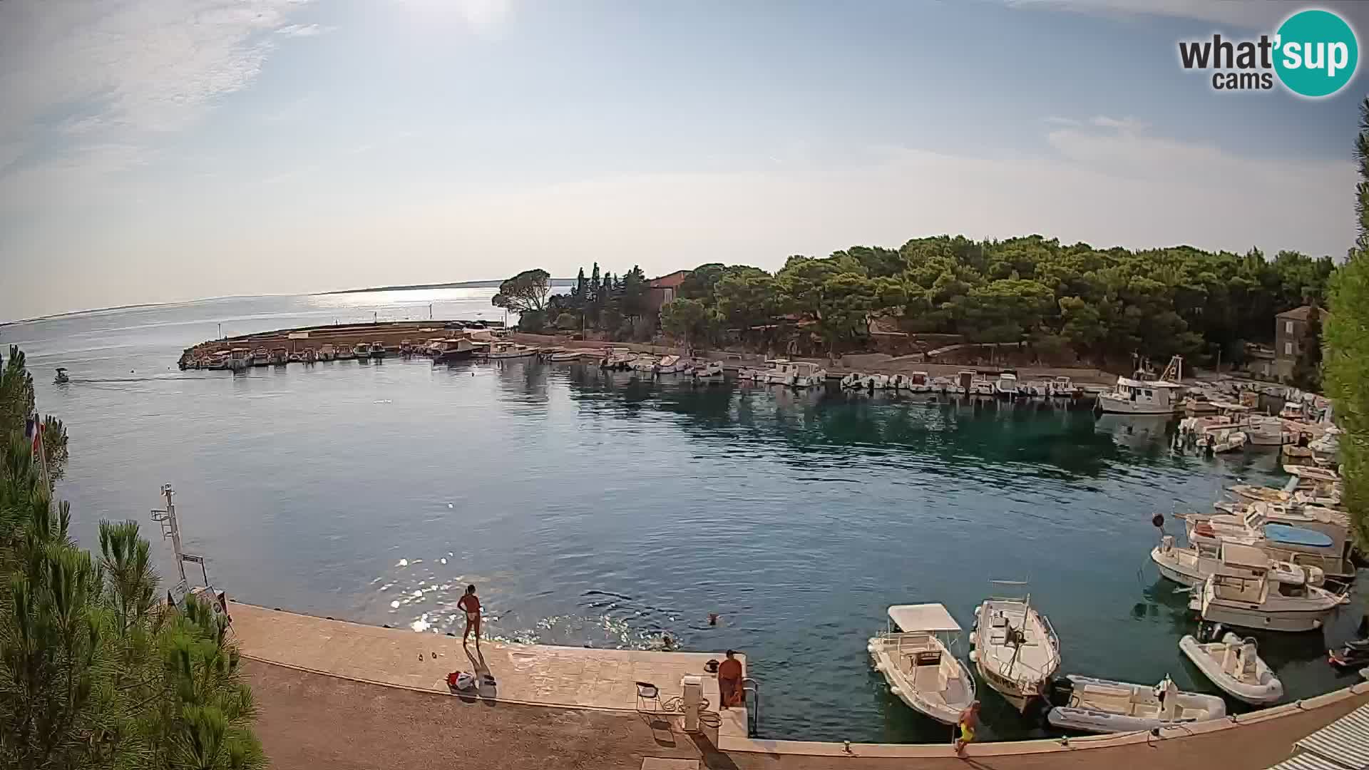 Mandre – marina