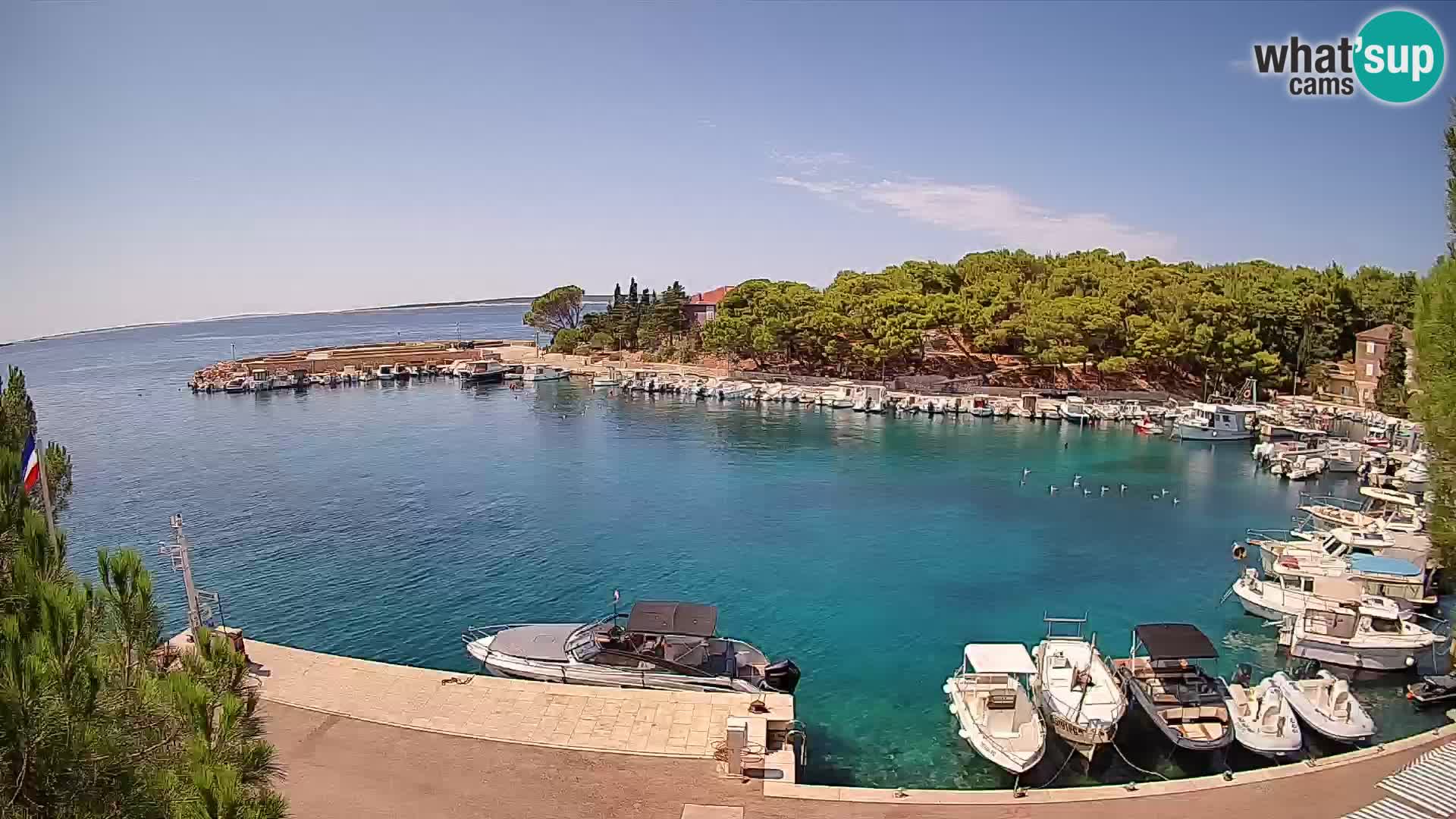 Mandre – marina