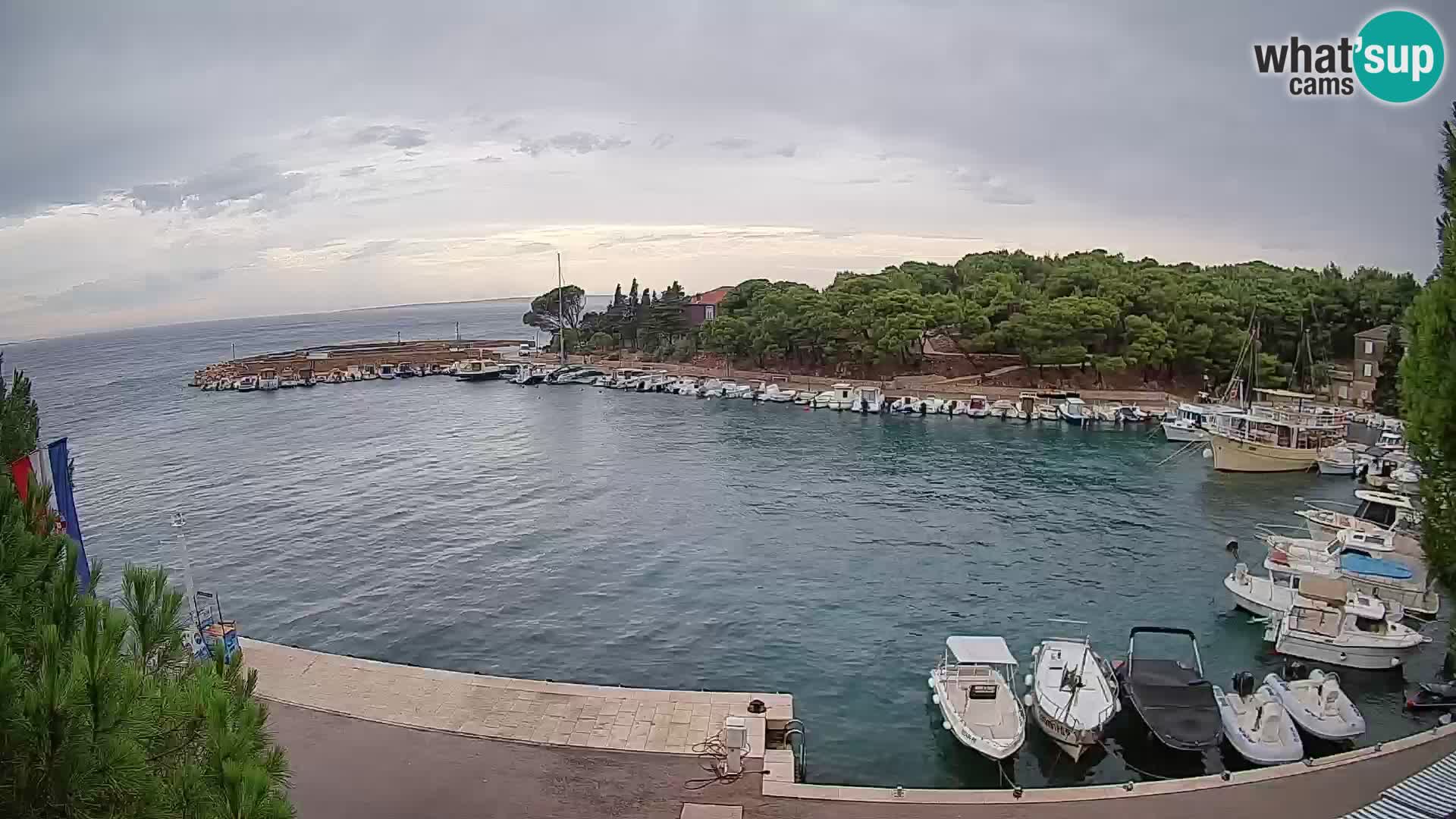 Mandre – marina