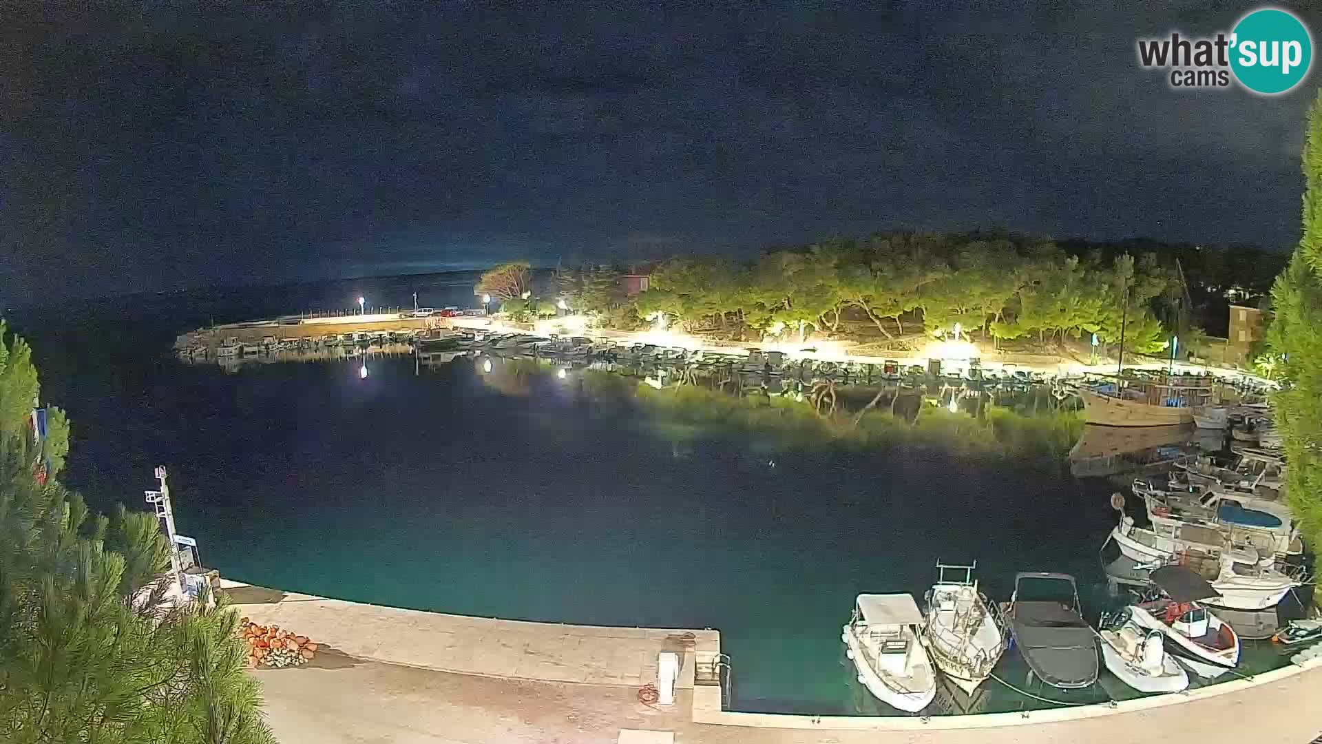 Mandre – marina