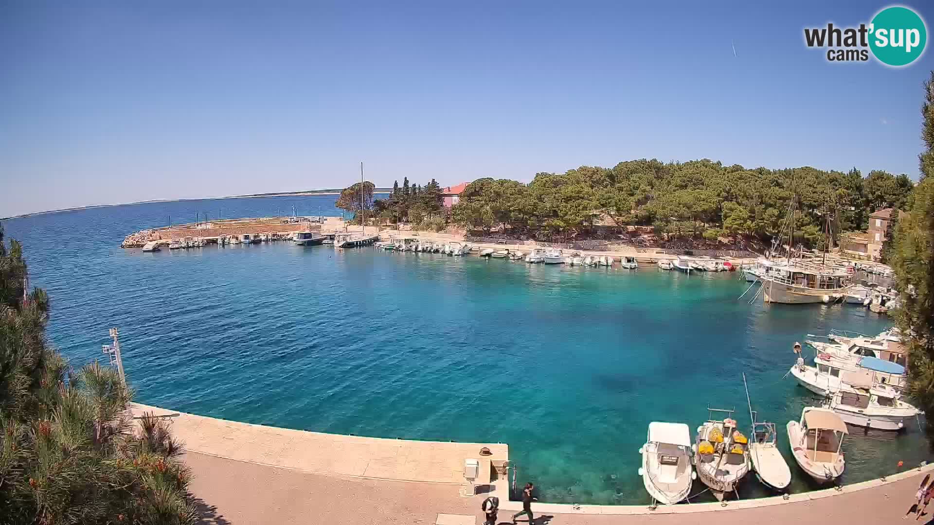 Mandre – marina