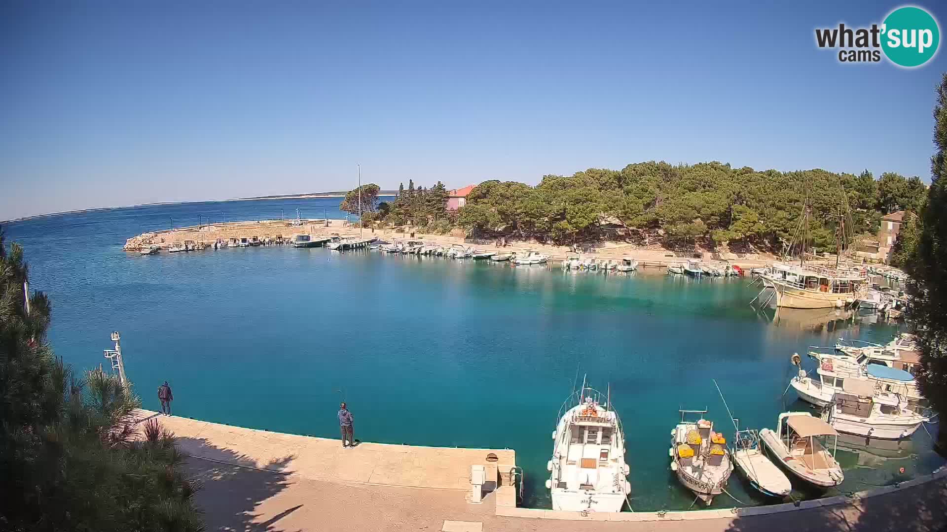 Mandre – marina