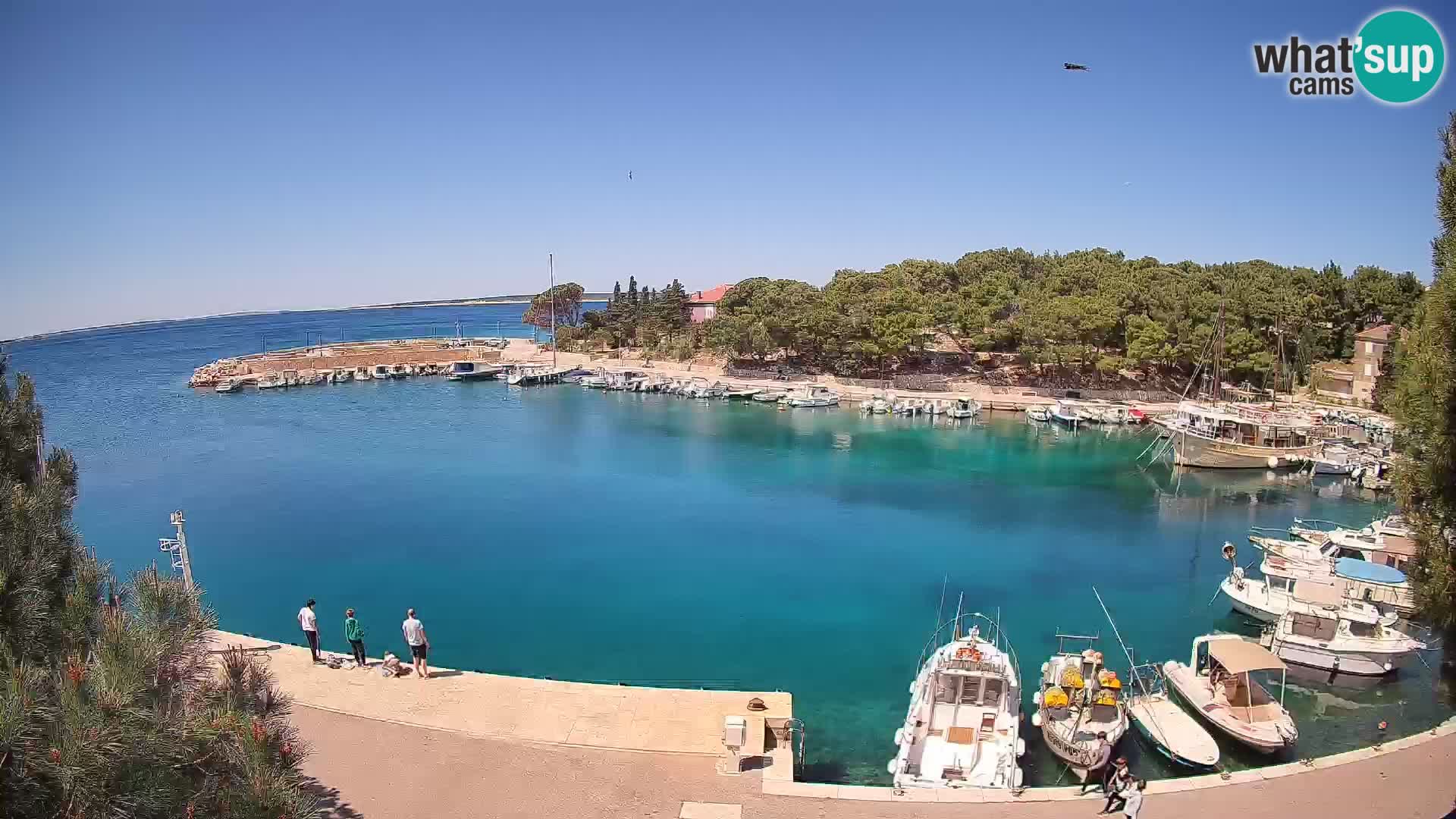 Mandre – marina