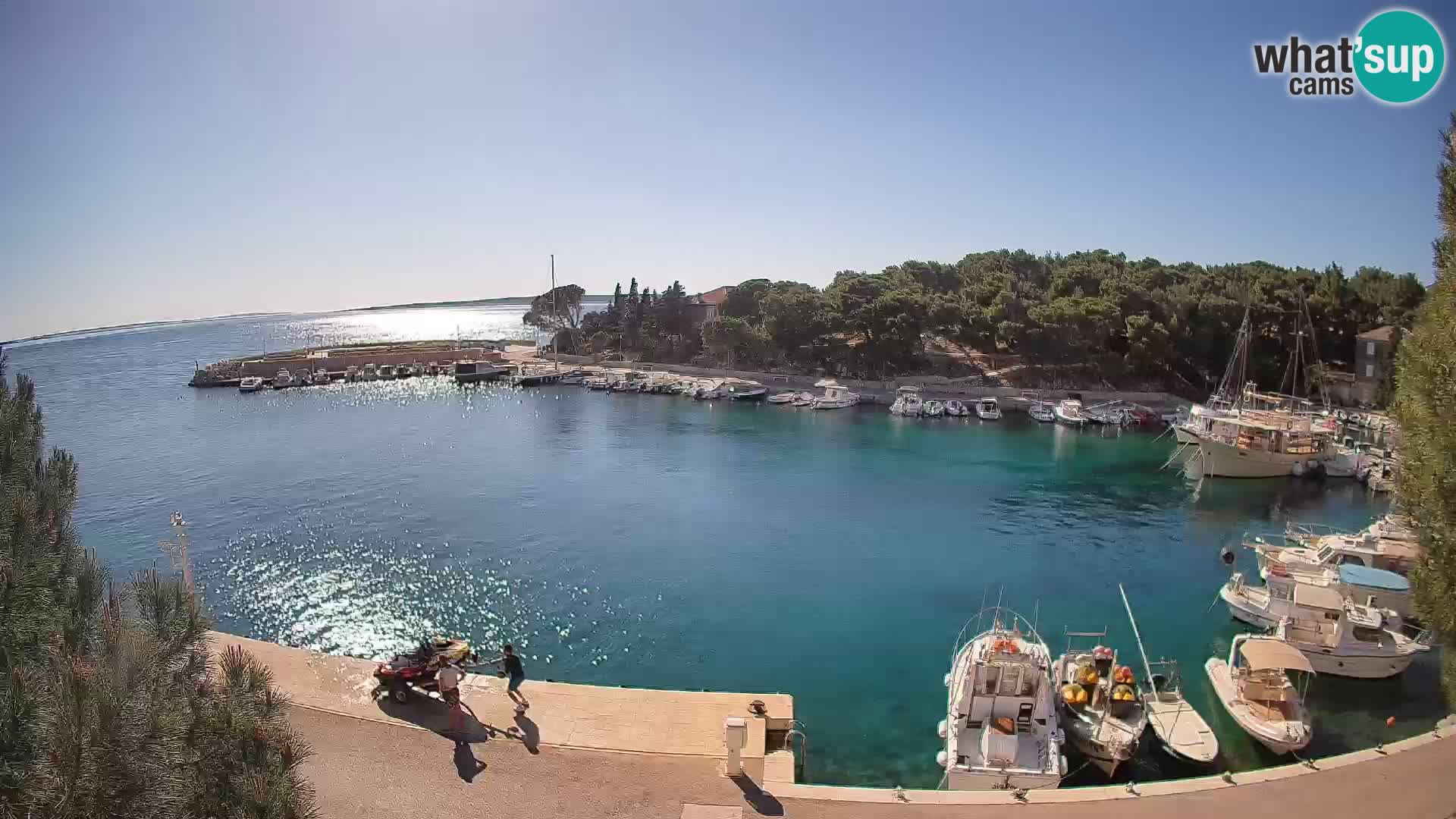 Mandre – marina