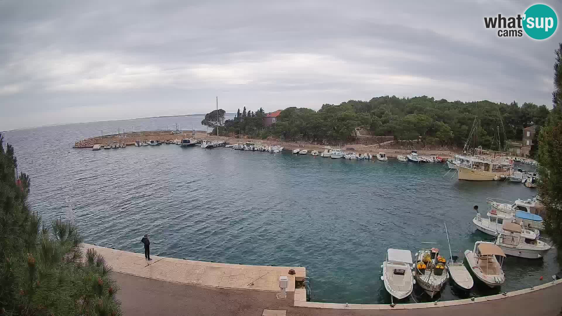 Mandre – marina