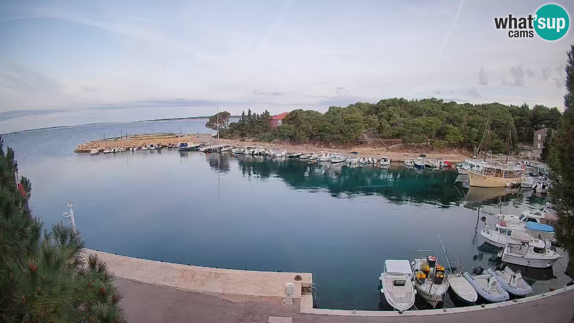 Mandre – marina