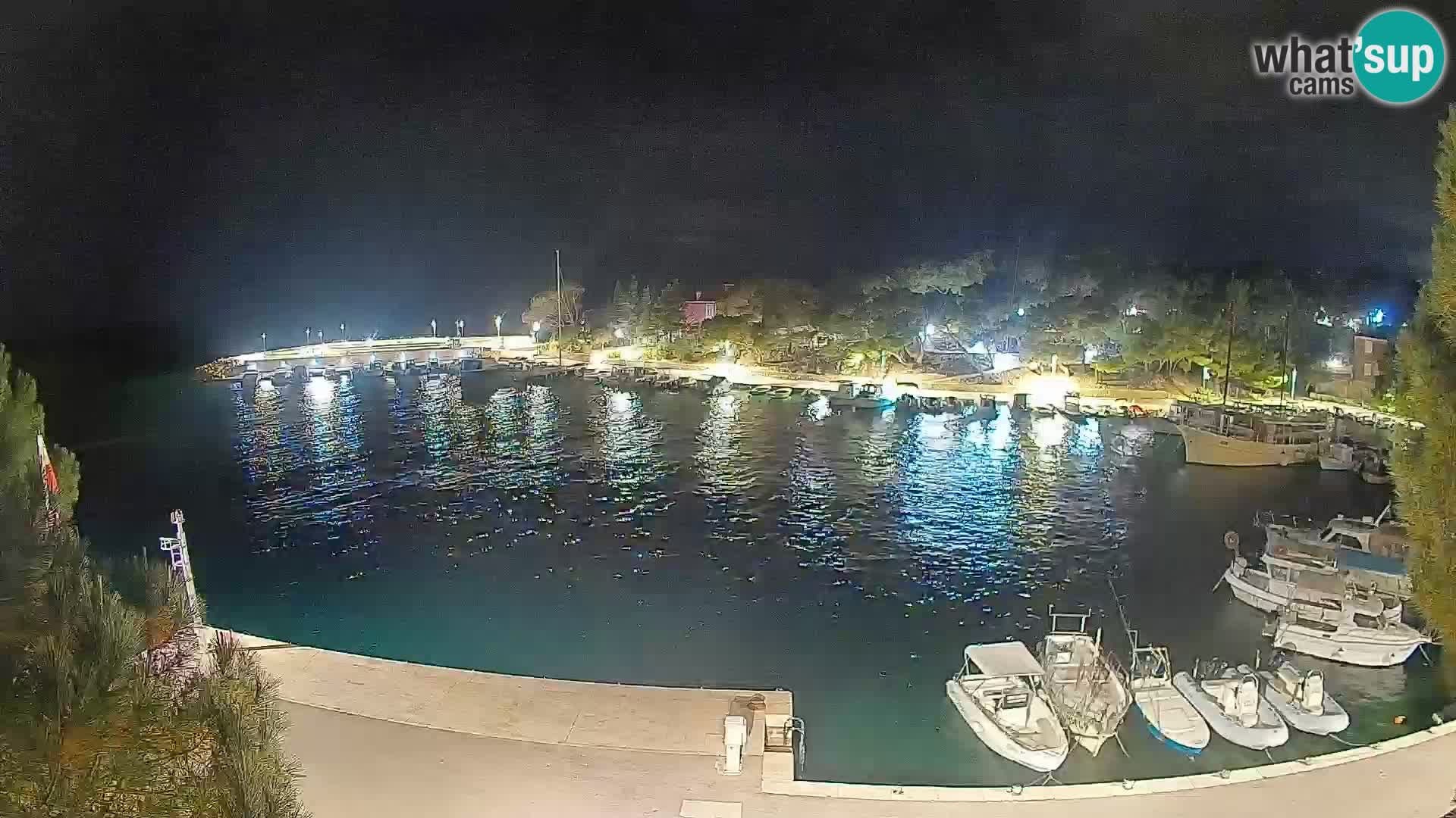Mandre – marina