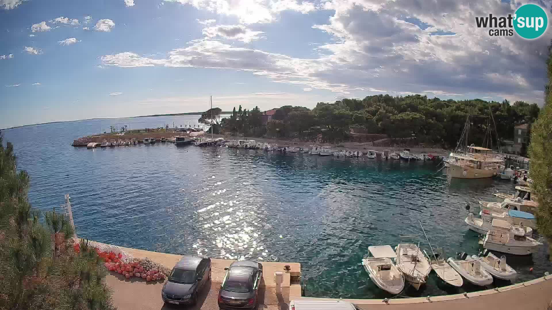 Mandre – marina