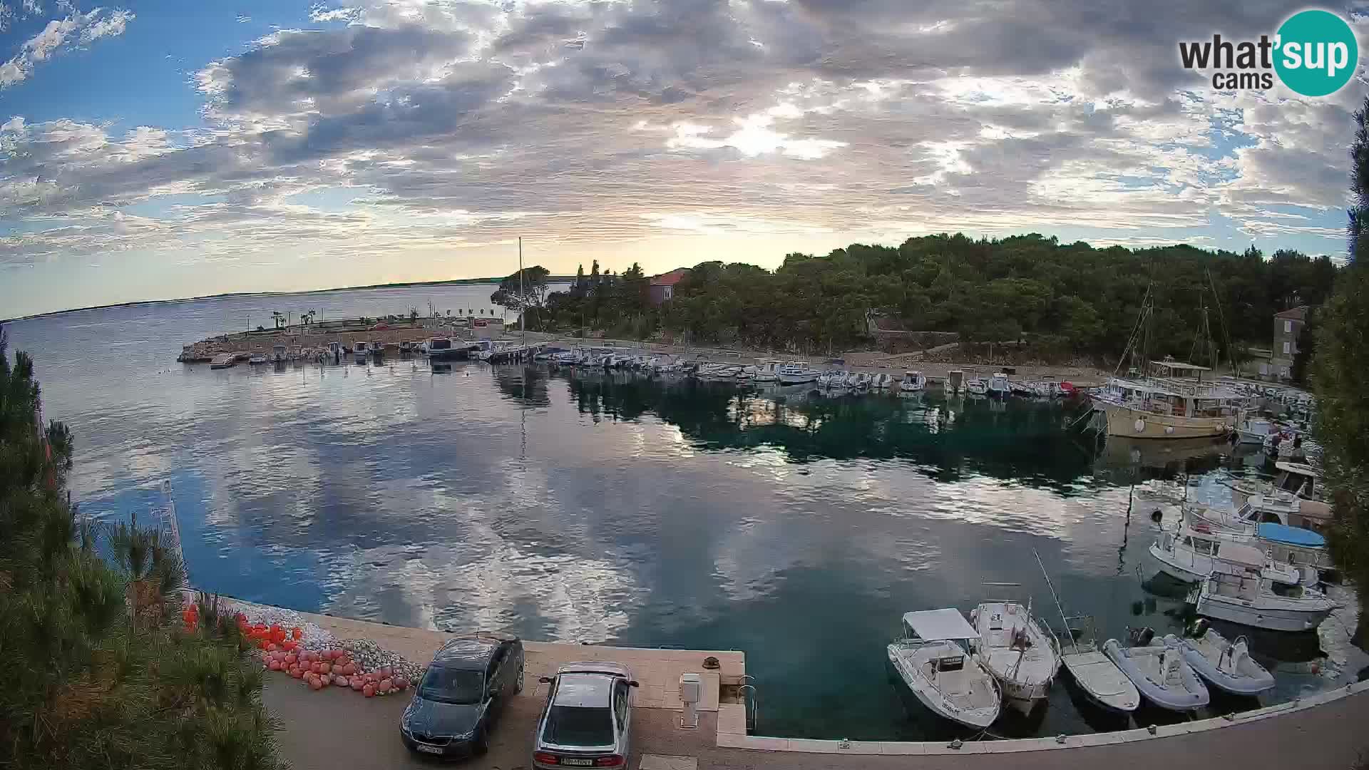 Mandre – marina