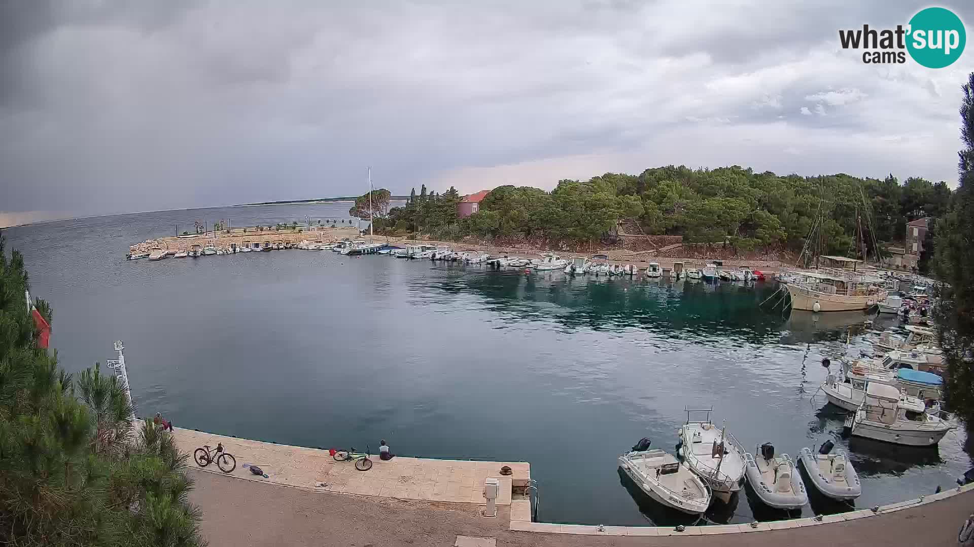 Mandre – marina