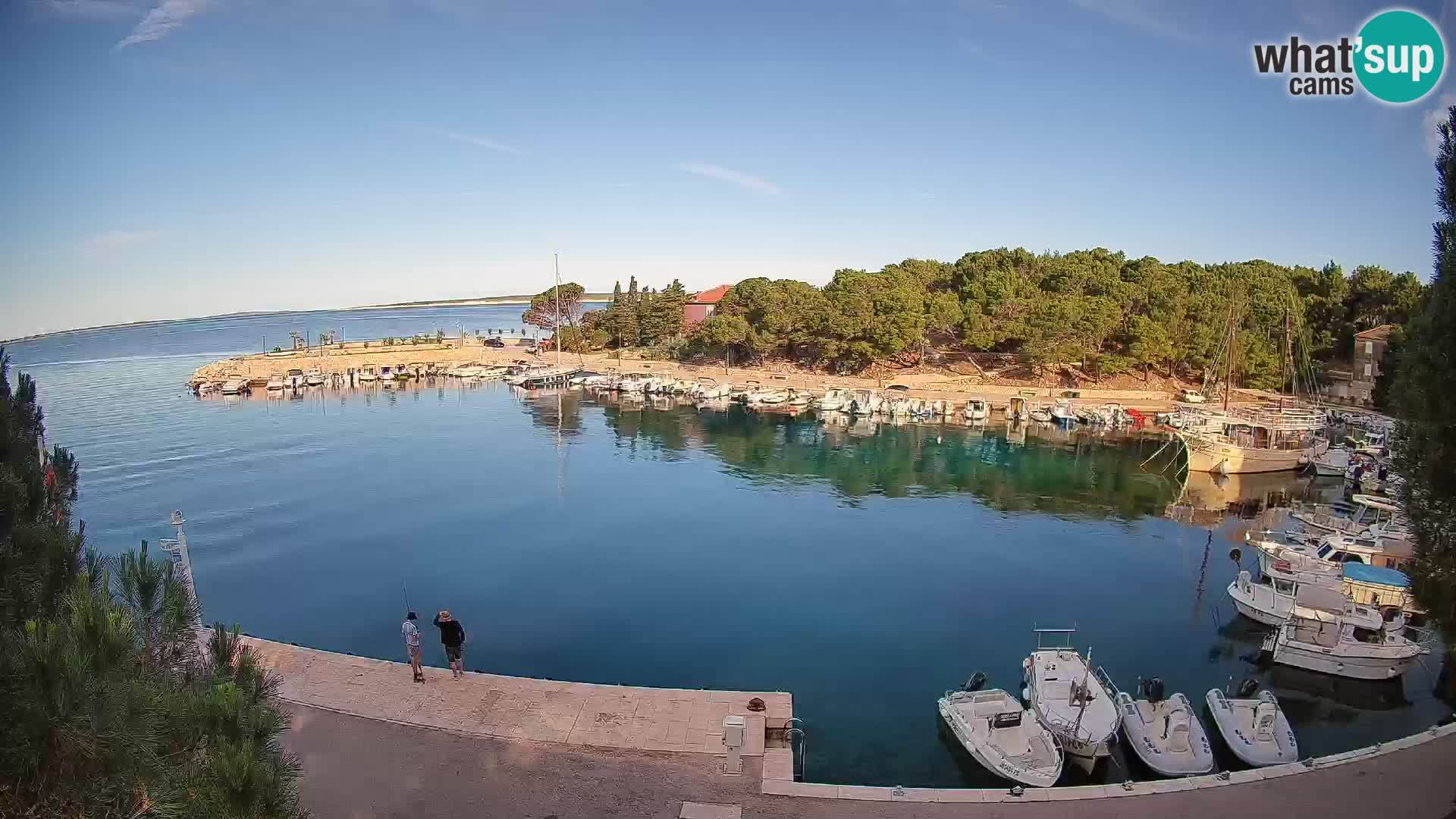 Mandre – marina