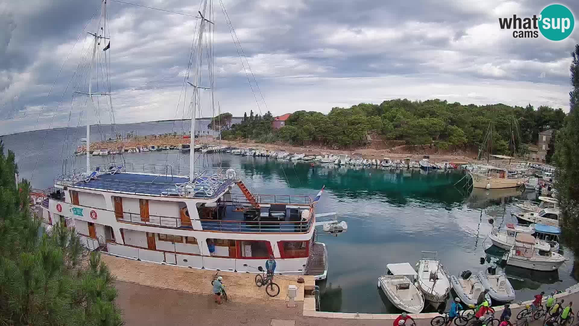 Mandre – marina